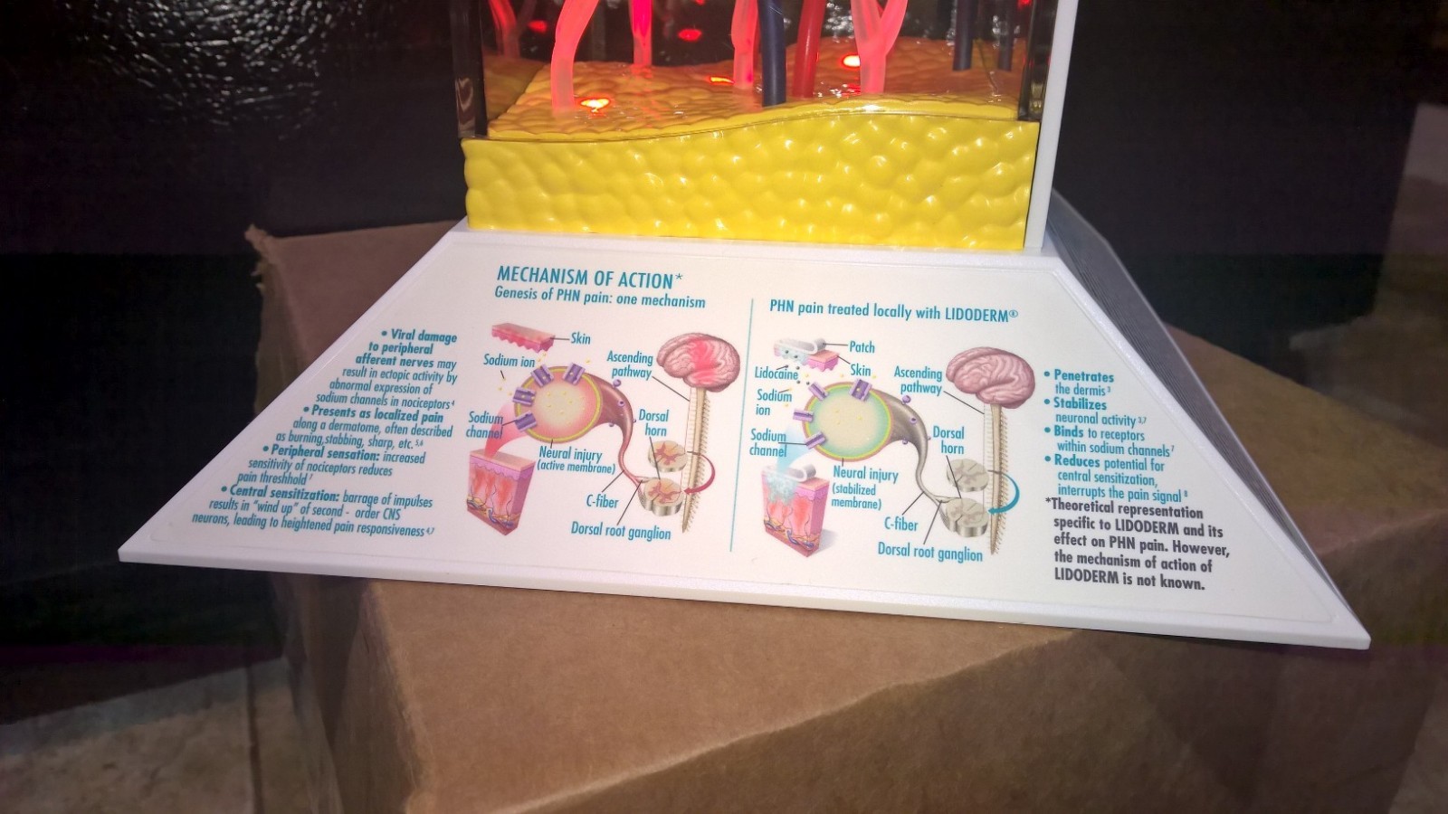 Drug Rep 3D light up Model Lidoderm Lidocaine patch collectible memorabilia NEW
