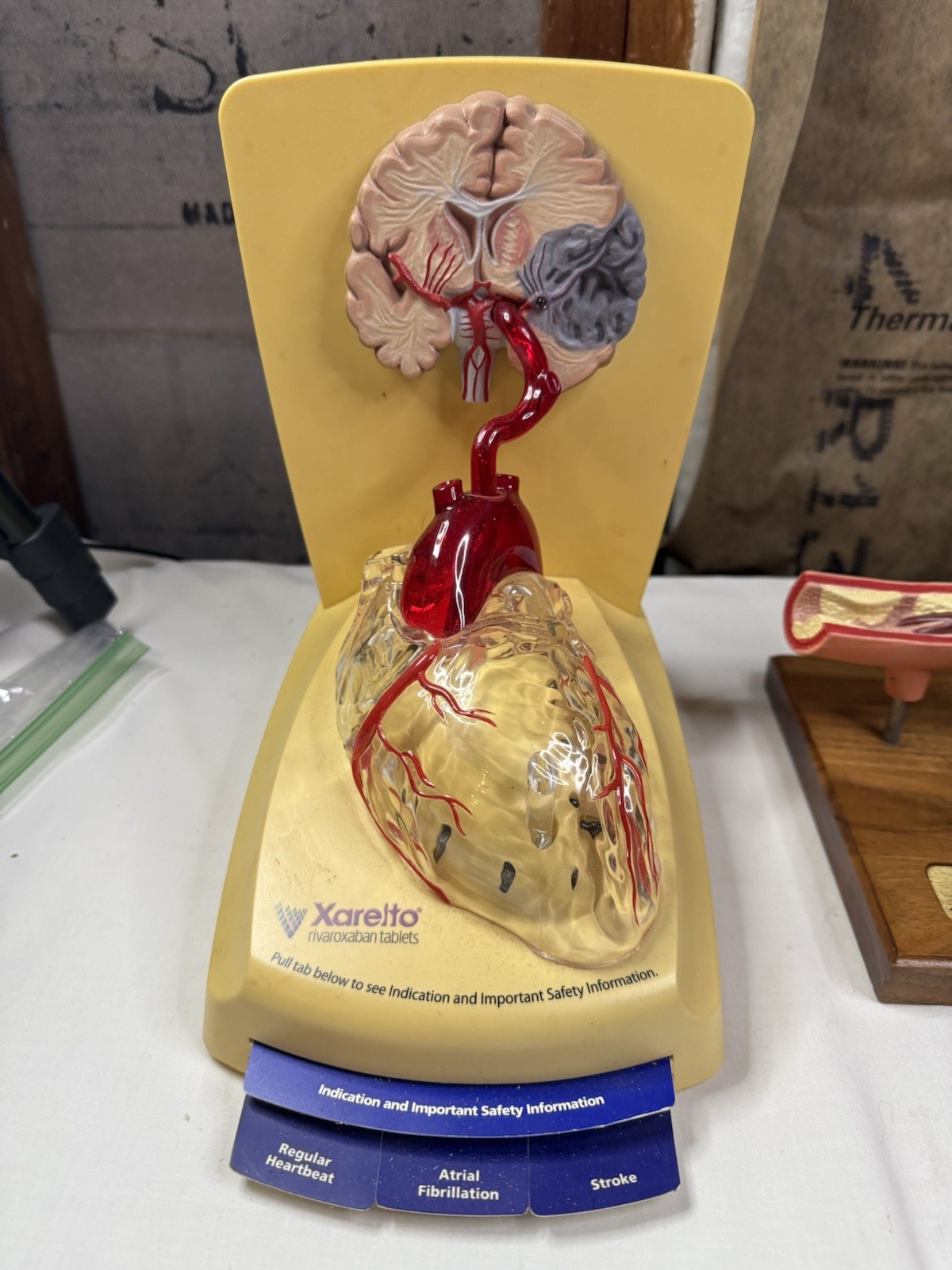 Pharmaceutical Drug Rep Doctors Office Heart Displays Xarelto