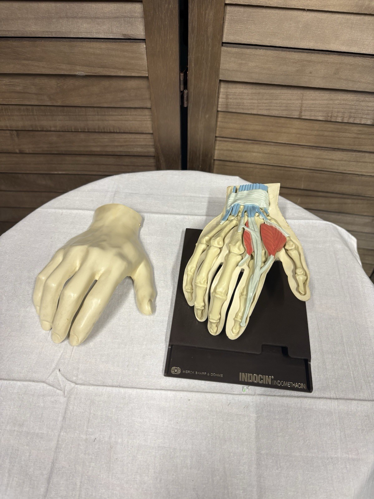 1967 MEDICAL HAND MODEL Anatomical Merck Sharp Dohme Indocin Advertising