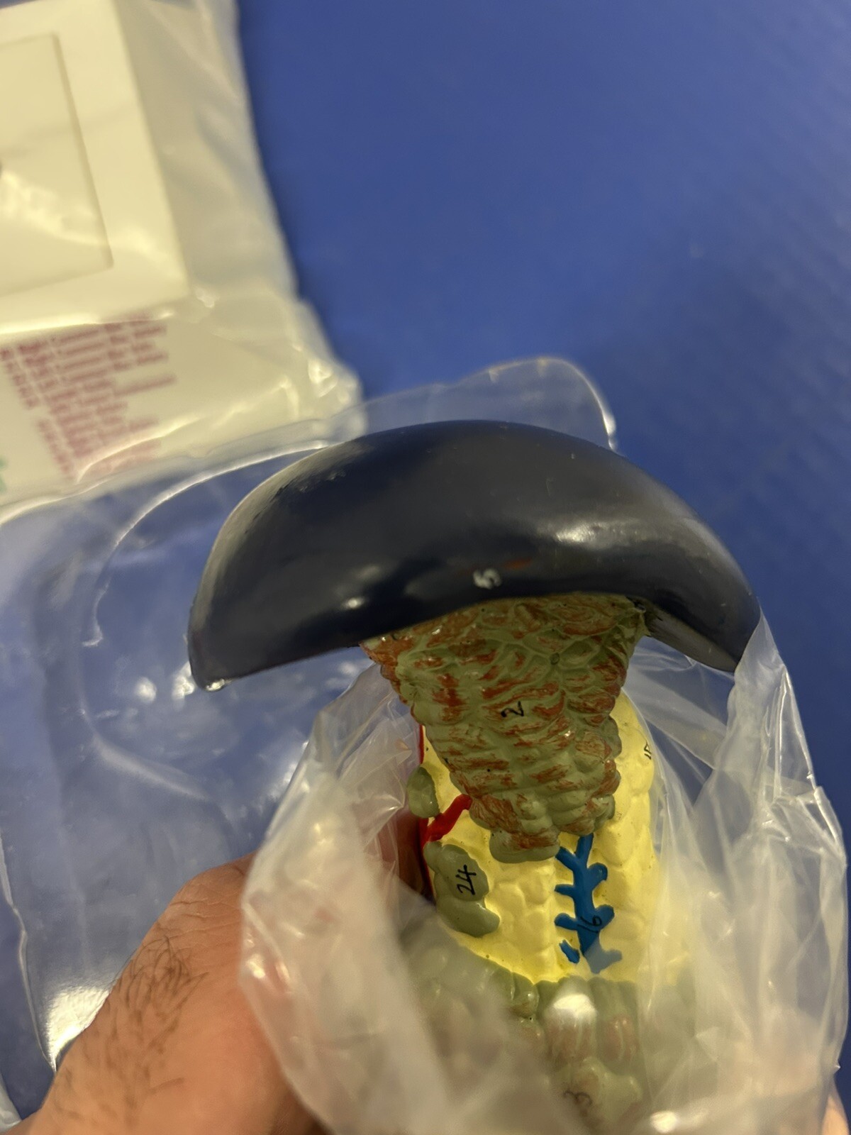 Gemzar Pancreas 3D Doctor’s Office Display