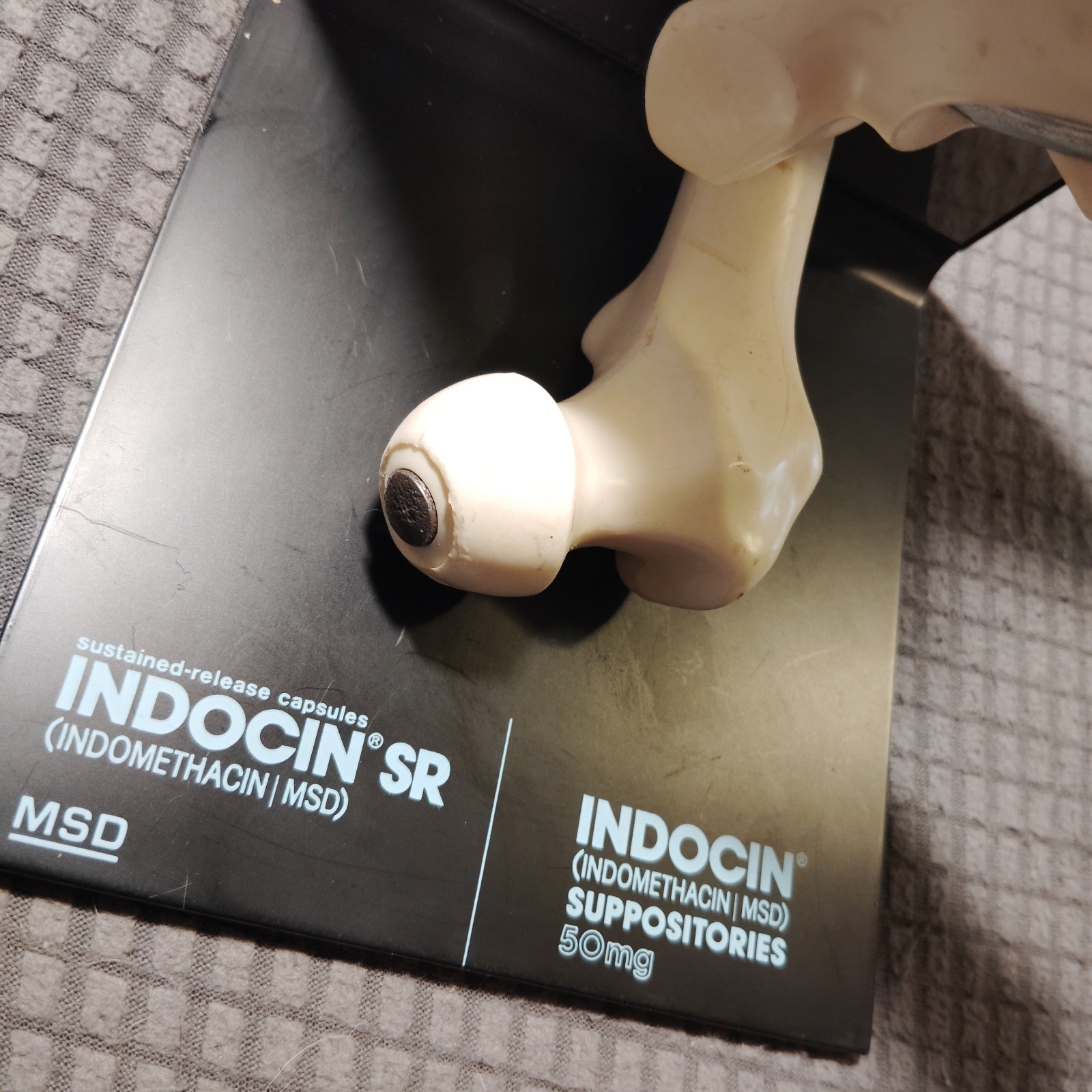 Hip Joint Model Advertising Indocin SR, Pharmaceutical Company Hand Out Doctors