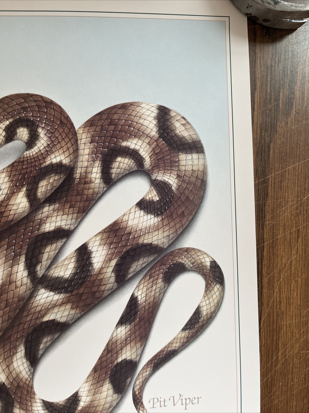 Vintage 1991 Pit Viper Venom Pharmacy History Pharmacist Poster Afrin Promo Swag