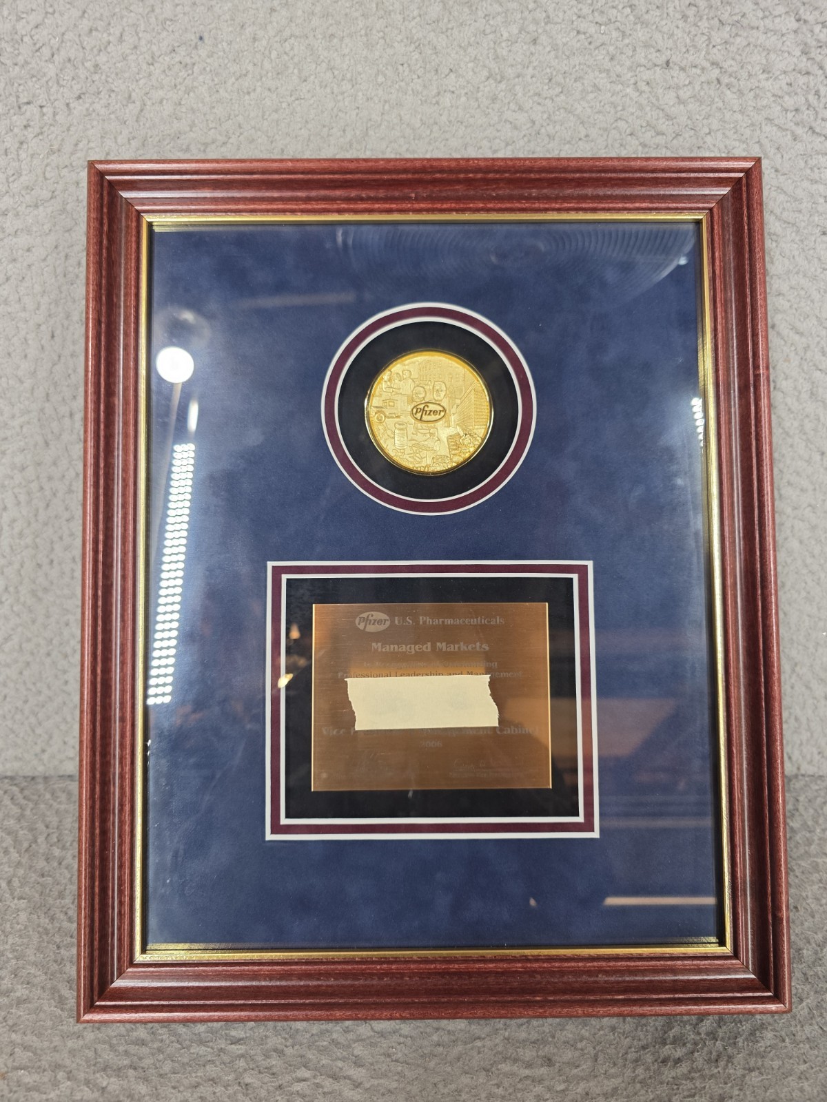 Pfizer Drug Company Framed Plaque Award Rare Pharmaceutical Collectible