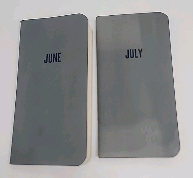 June & July 1955 Warner Chilcott Products Promotional Doctor Memo Book