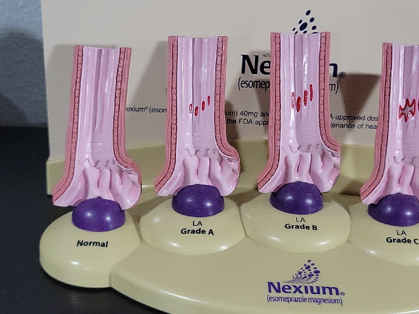 Vintage Nexium Doctor Pharmaceutical Display Erosive Esophagitis
