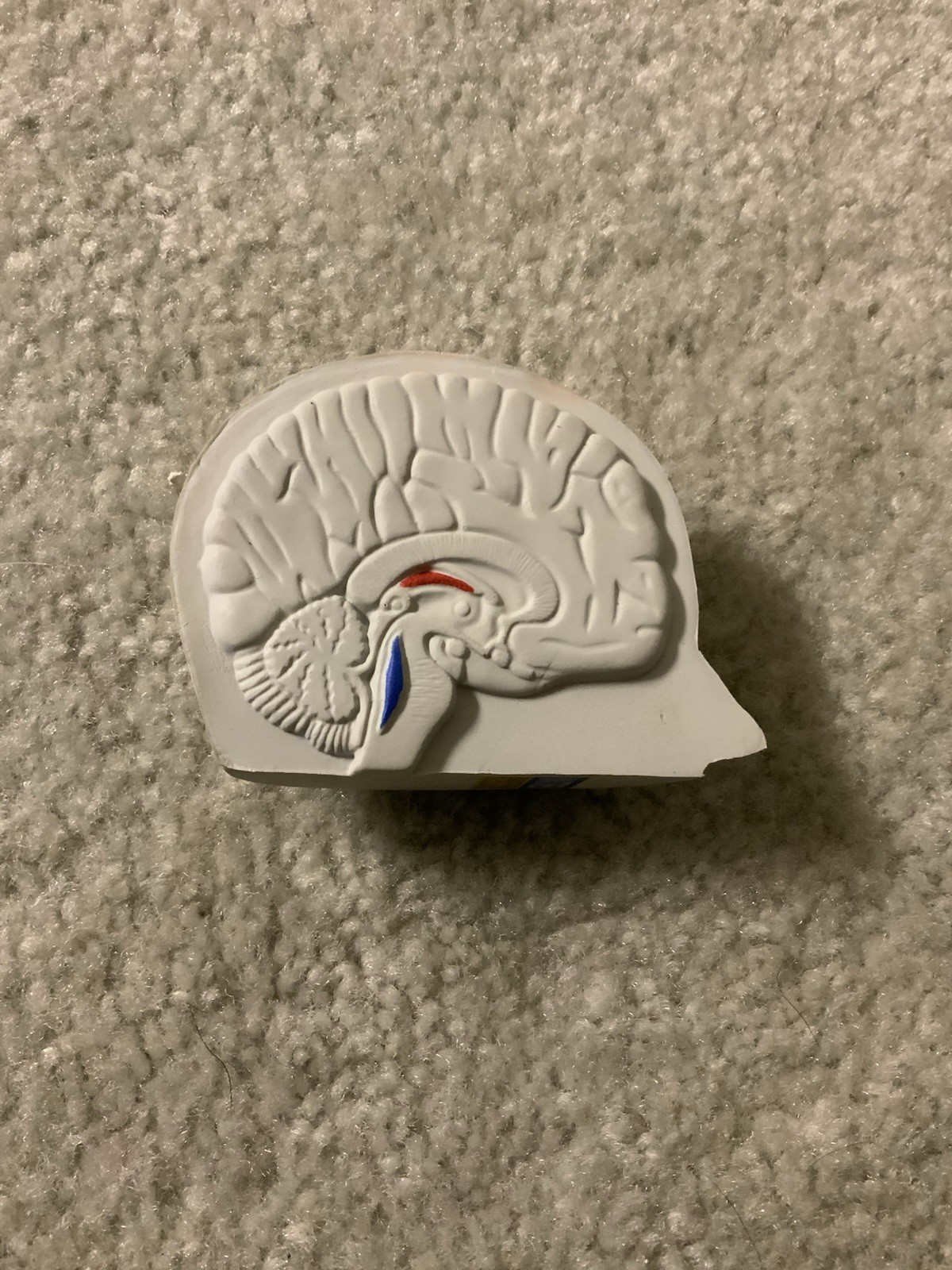 Vintage Imitrex Brain Shaped Foam Stress Ball Medical Advertising Promo Rare