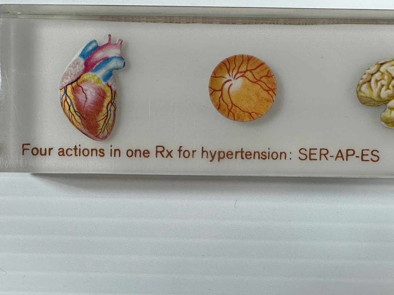 VTG CIBA PHARMACEUTICAL PHYSICIAN PAPERWEIGHT BODY ORGANS SER-AP-ES ADVERTISING