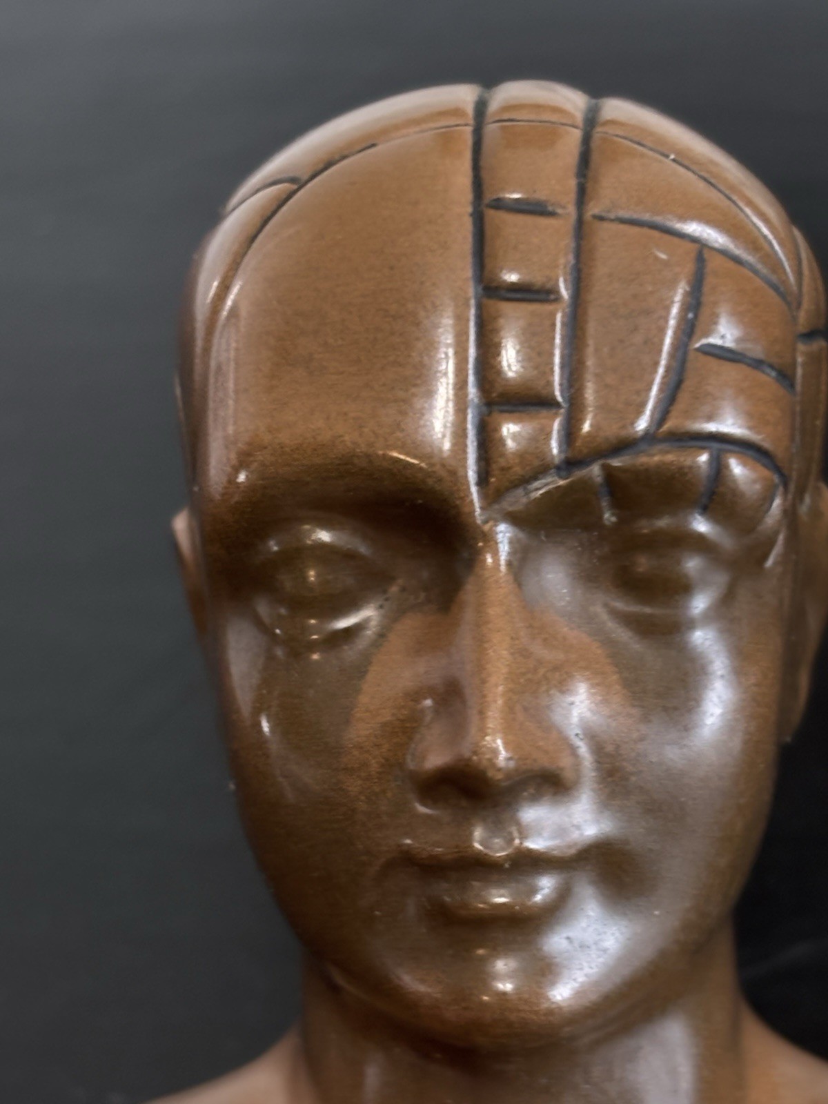 PHRENOLOGY HEAD-Medical Advertising-Promotional Statue BUST-Discontinued PAXIPAM