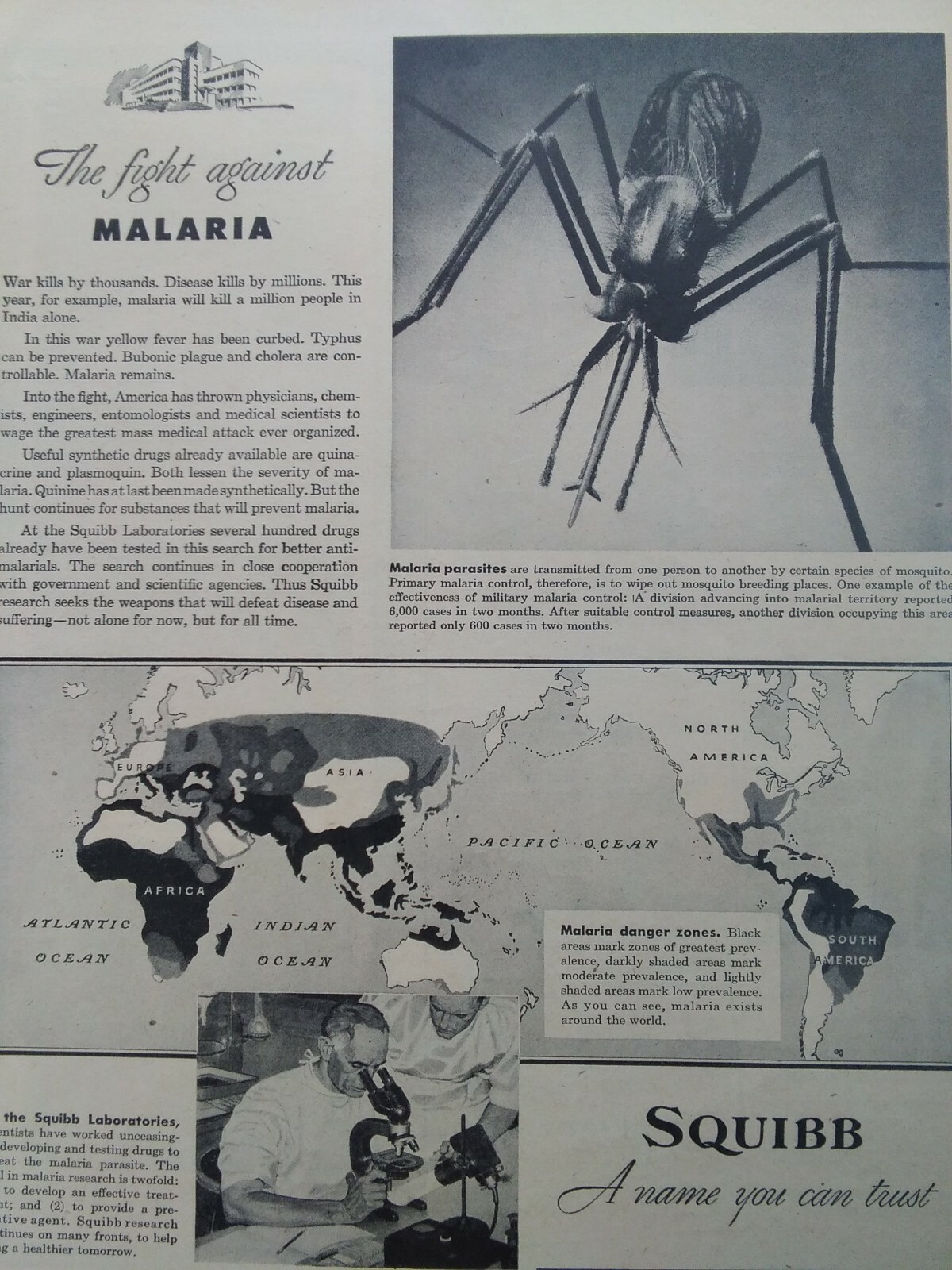 Squibb Print Ad Original Vintage 1945 Bristol Myers NYC Malaria Piper Cub PA