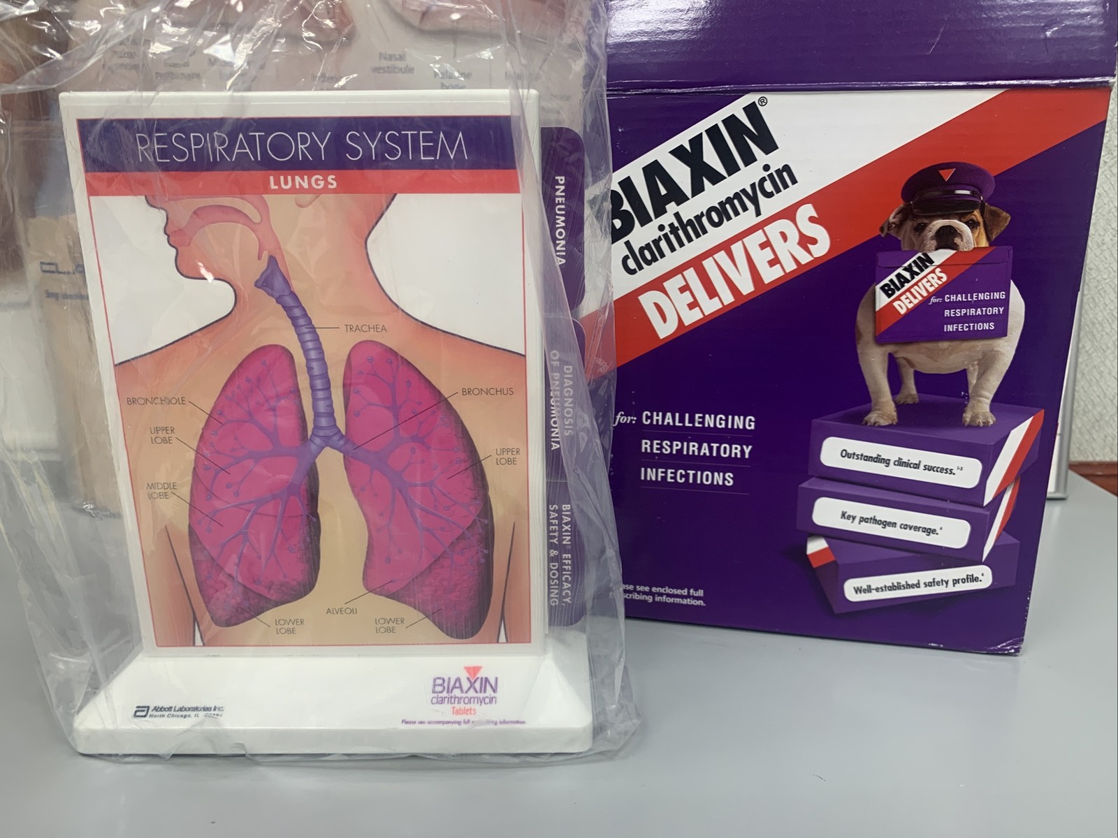 Biaxin Rare Vintage Pharmaceutical Drug Rep Merch New Respiratory System Display