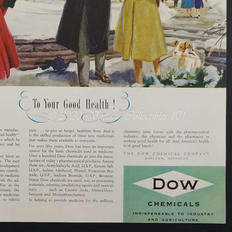 1952 Dow Chemical pharmaceutical drugs winter terrier photo art decor print ad