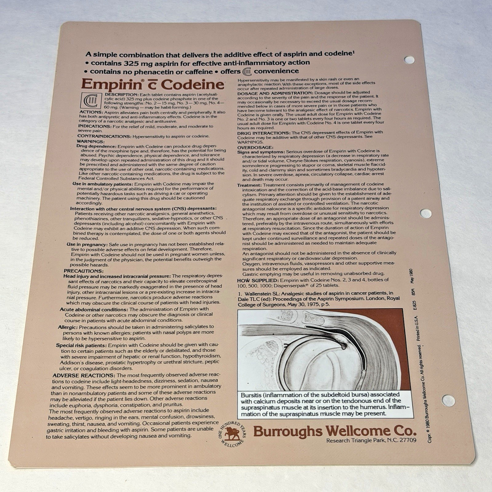 Codeine Medical Charts 5 Drug Rep Ad Promo Pharma Collectible Marketing 1980