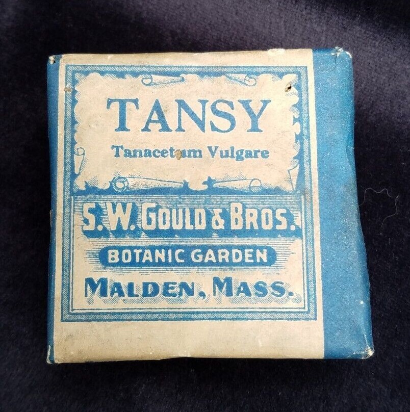 New Old Stock Herbal Package TANSY SW Gould Botanic Garden Malden Massachusetts