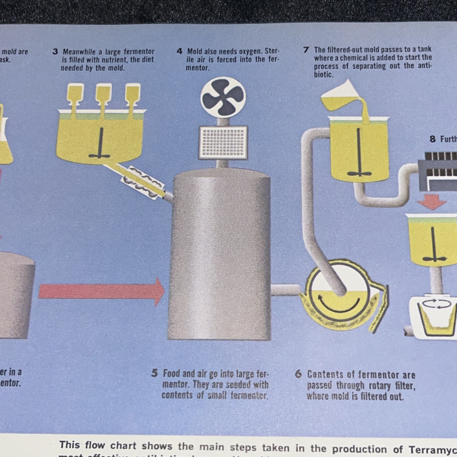 Weimer Purcell Antibiotic Production Illustration 1967 Original Encyclopedia