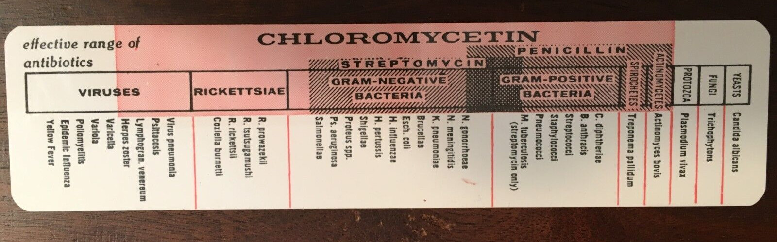 VINTAGE ‘CHLOROMYCETIN’ ANTIBIOTIC 6-INCH ADVERTISING RULER – PARKE, DAVIS & CO.