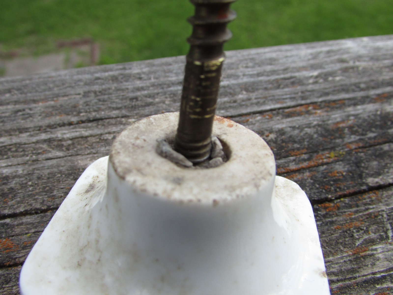 Unusual 1900s MARRUBIUM (Horehound) Porcelain APOTHECARY Cabinet Drawer KNOB A++