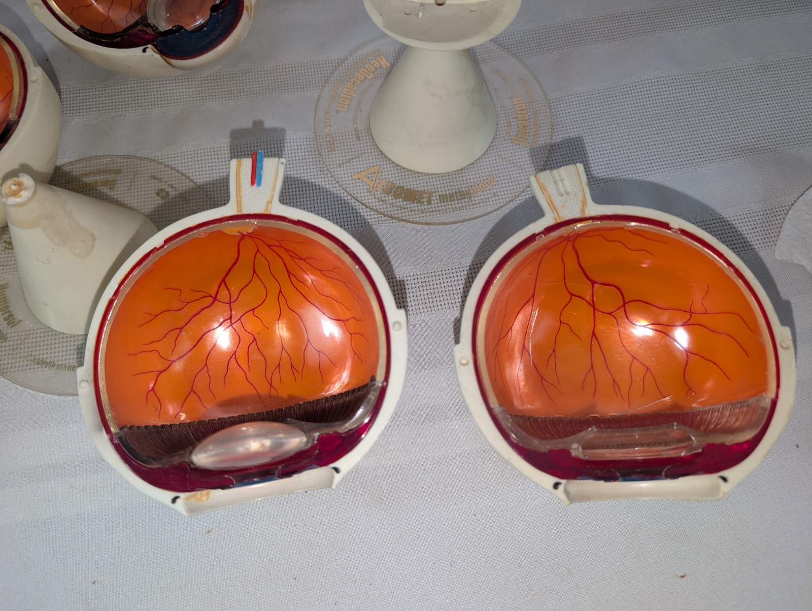 1960s Merck Pharmaceutical Advertising Model “Aldomet Methyldopa” Eye Model