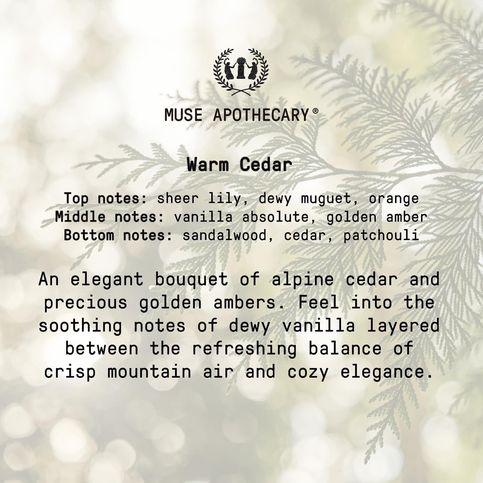 Muse Apothecary Flush Ritual – Botanical Collection – Aromatic & Refreshing T…
