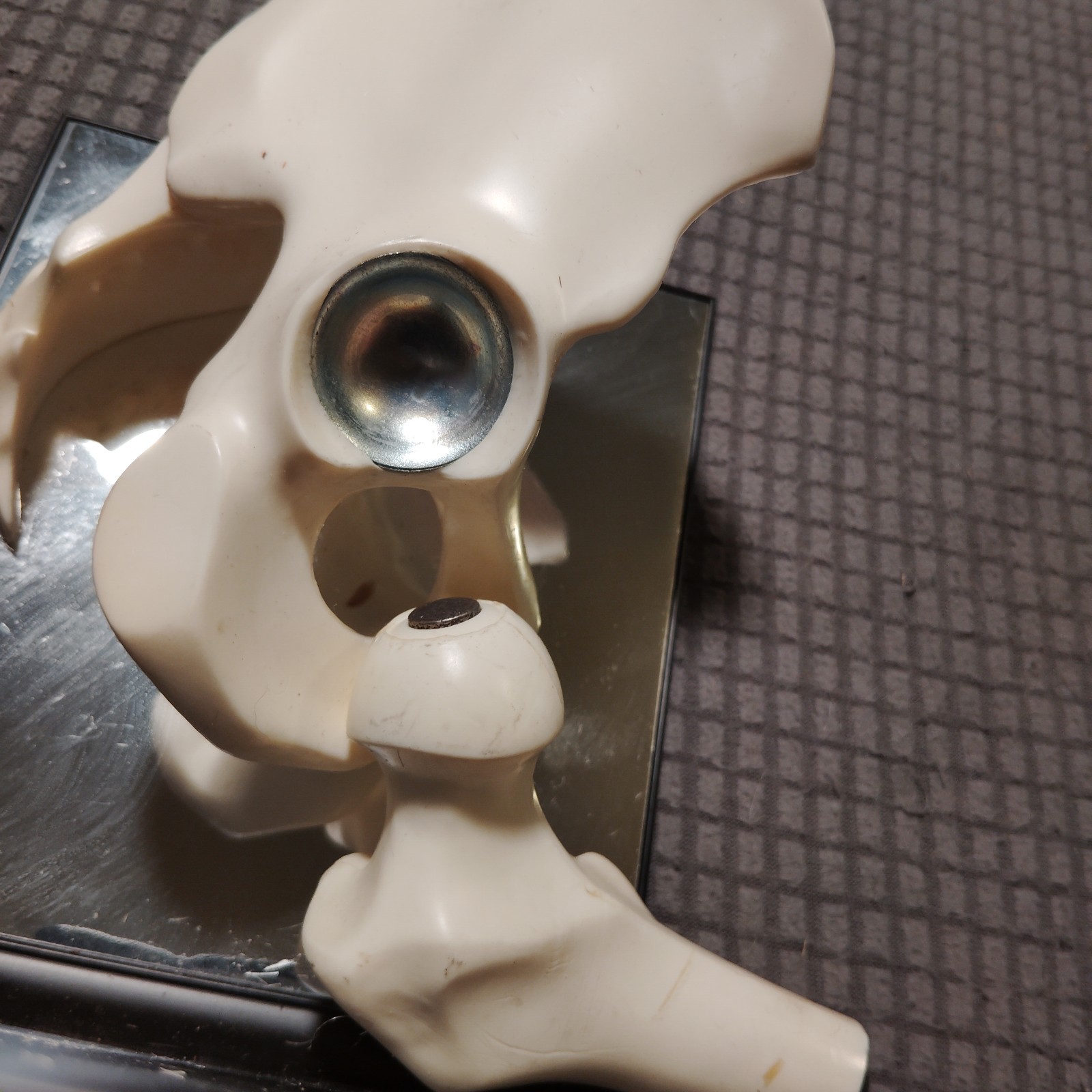 Hip Joint Model Advertising Indocin SR, Pharmaceutical Company Hand Out Doctors