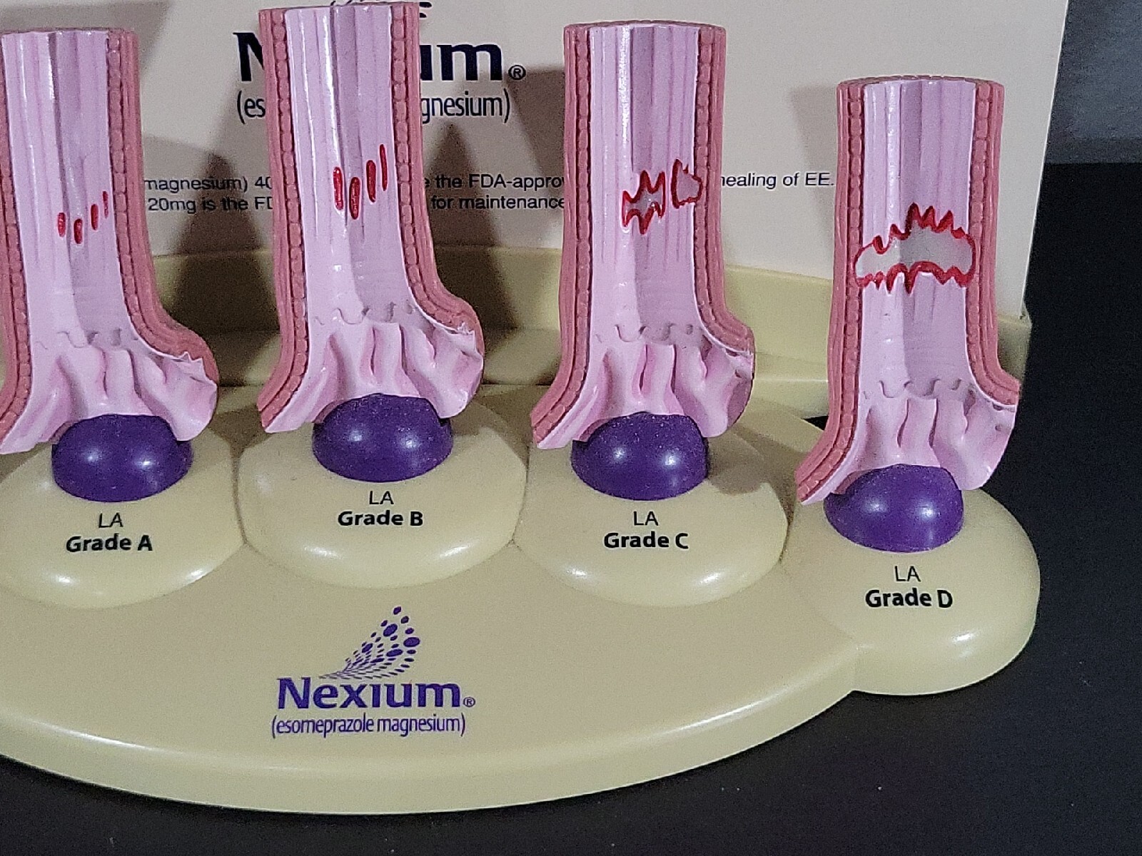 Vintage Nexium Doctor Pharmaceutical Display Erosive Esophagitis