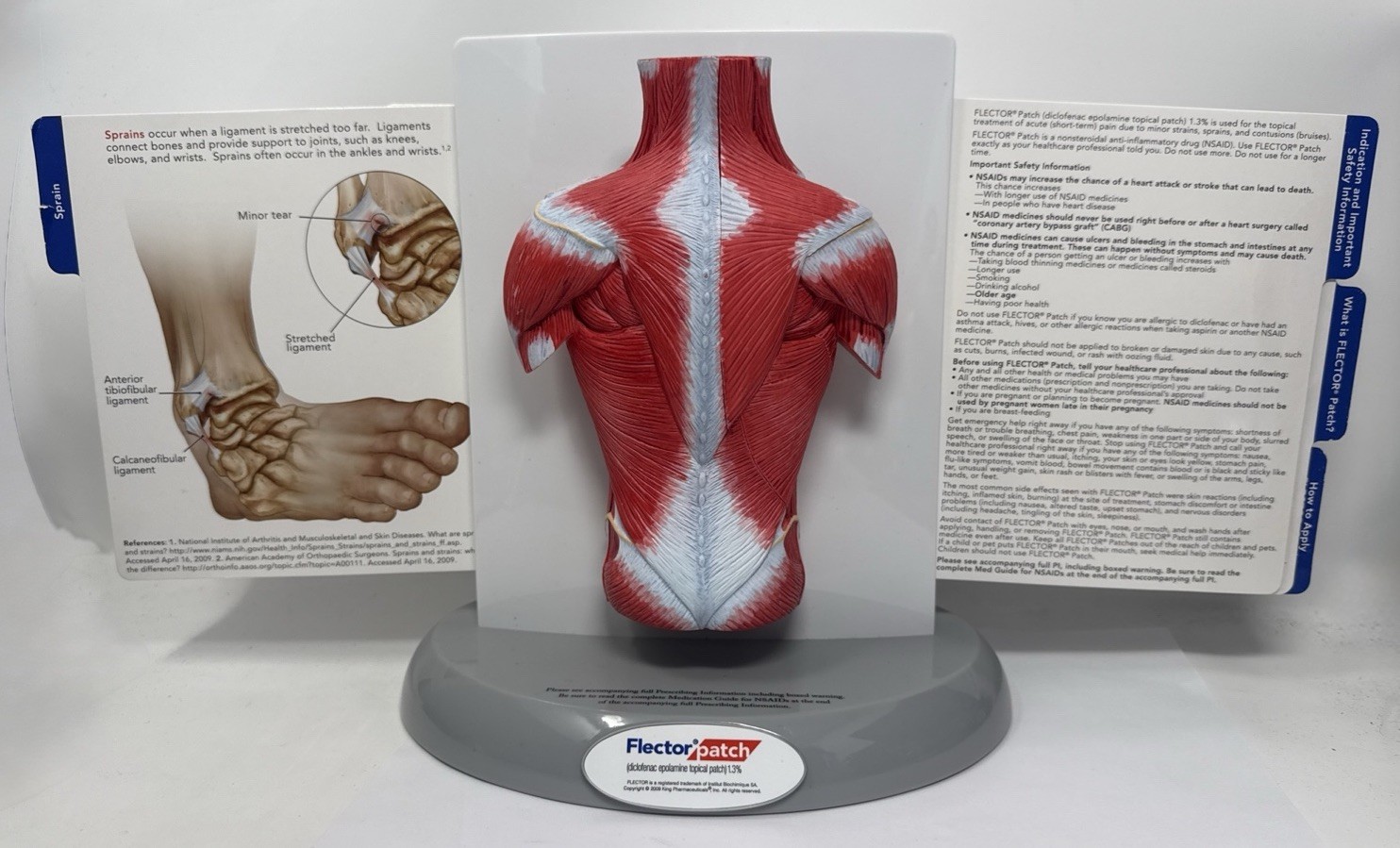FLECTOR Patch Back Muscles Doctor 3D Display Advertising Model Used