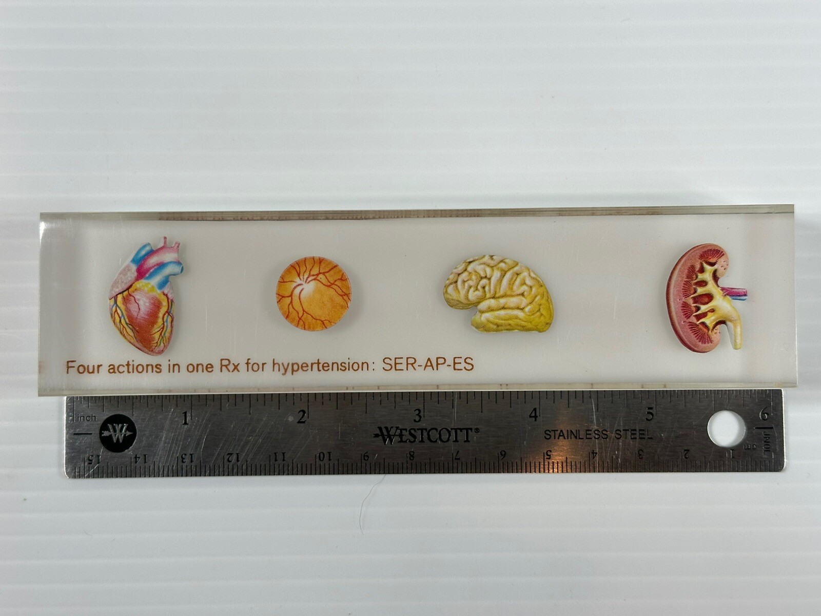 VTG CIBA PHARMACEUTICAL PHYSICIAN PAPERWEIGHT BODY ORGANS SER-AP-ES ADVERTISING