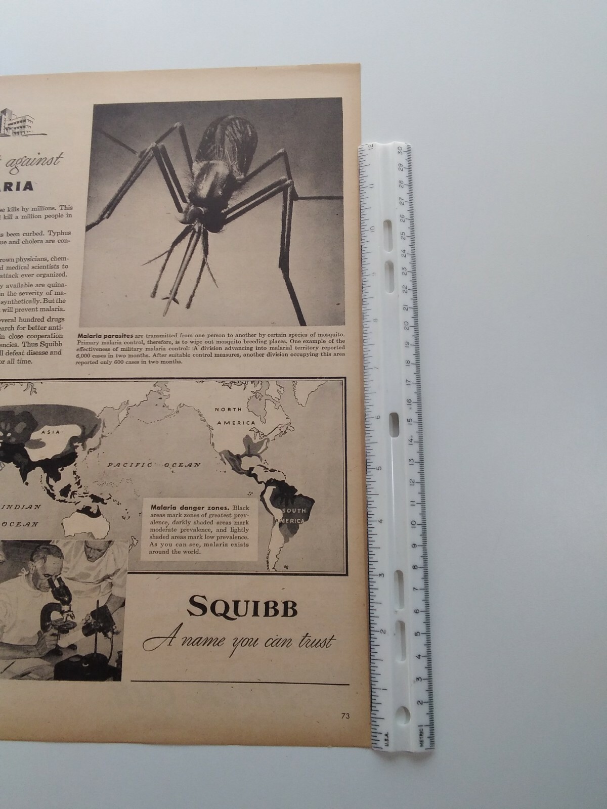 Squibb Print Ad Original Vintage 1945 Bristol Myers NYC Malaria Piper Cub PA