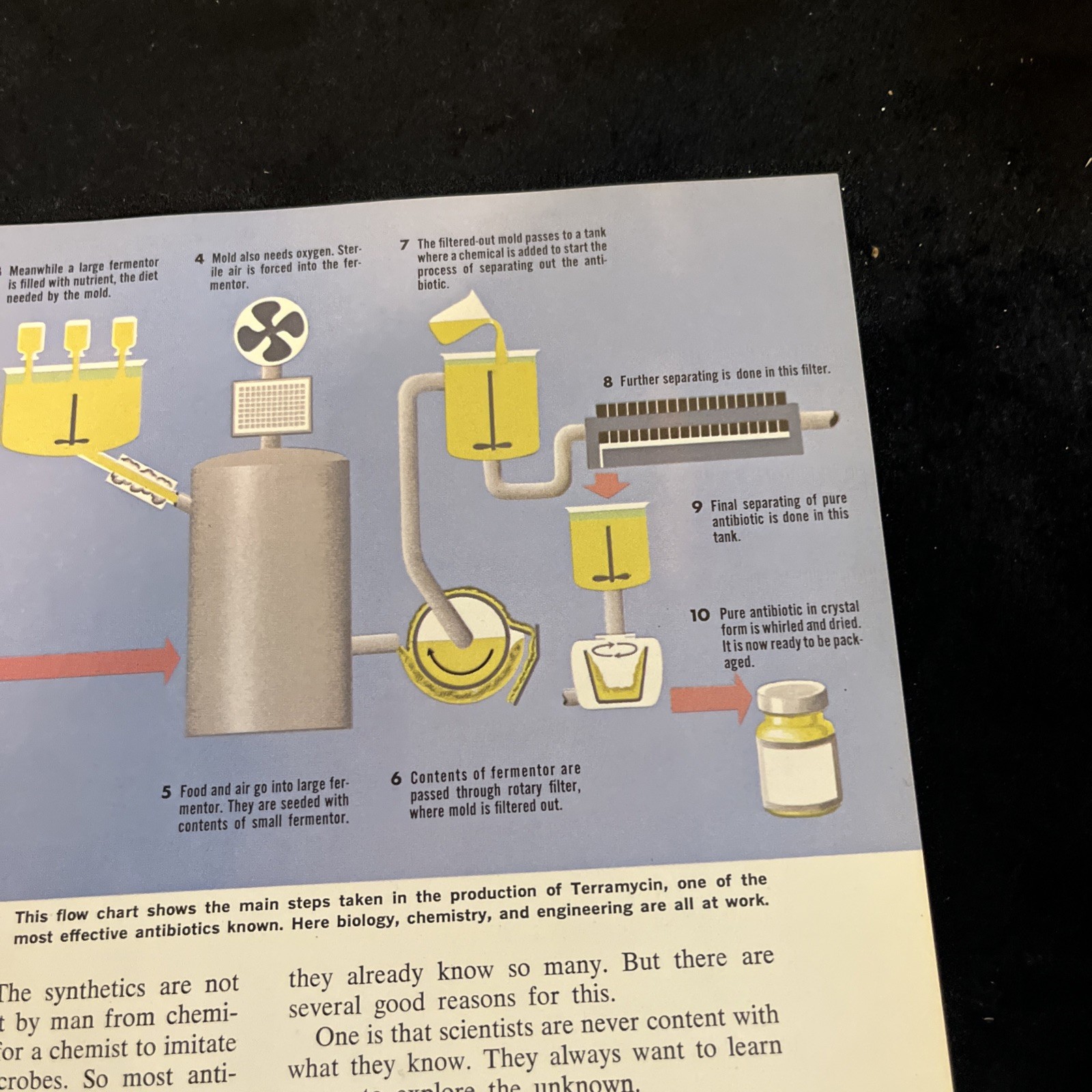 Weimer Purcell Antibiotic Production Illustration 1967 Original Encyclopedia