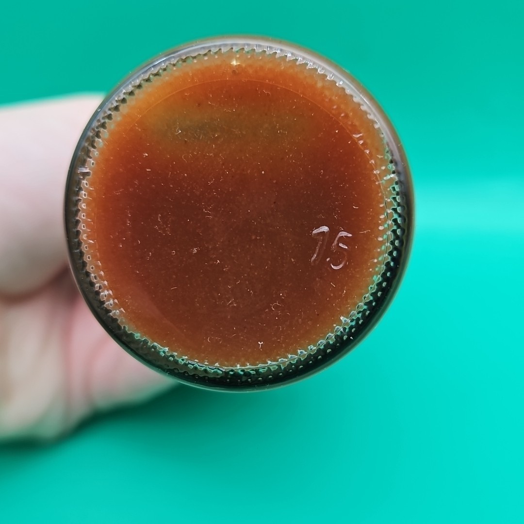 Rare Pharmaceutical Drug Rep Hot Sauce Bottle “Damn The HMO’s” Habanero 5 Oz