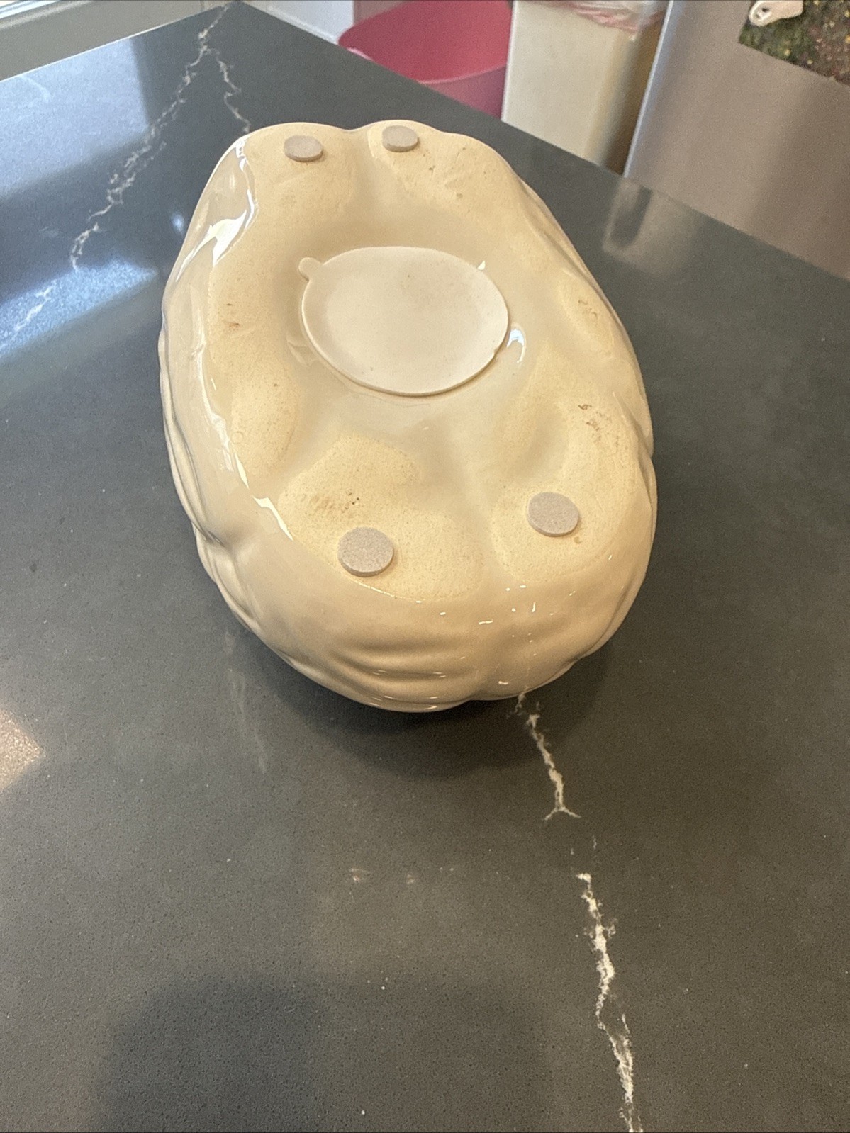 Vintage Brain Coin Piggy Bank Anatomical Model