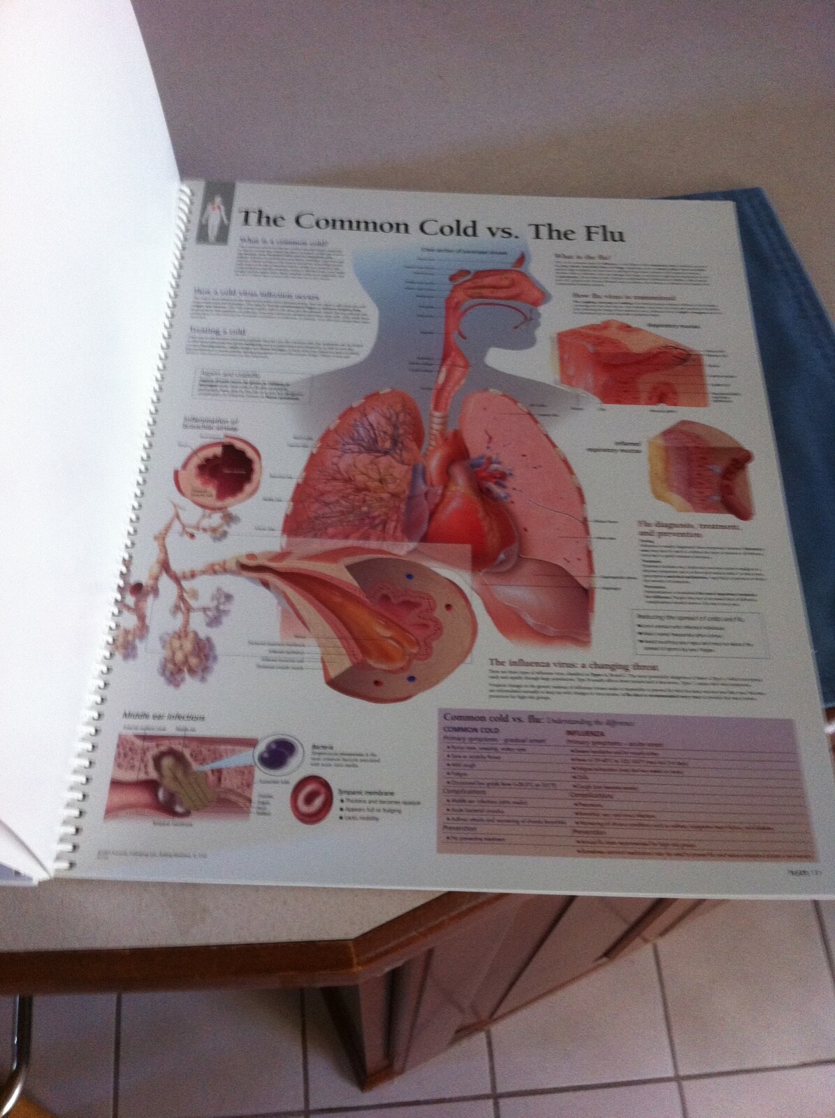 Drug rep 14″X11″ spiral bound Anatomic Charts