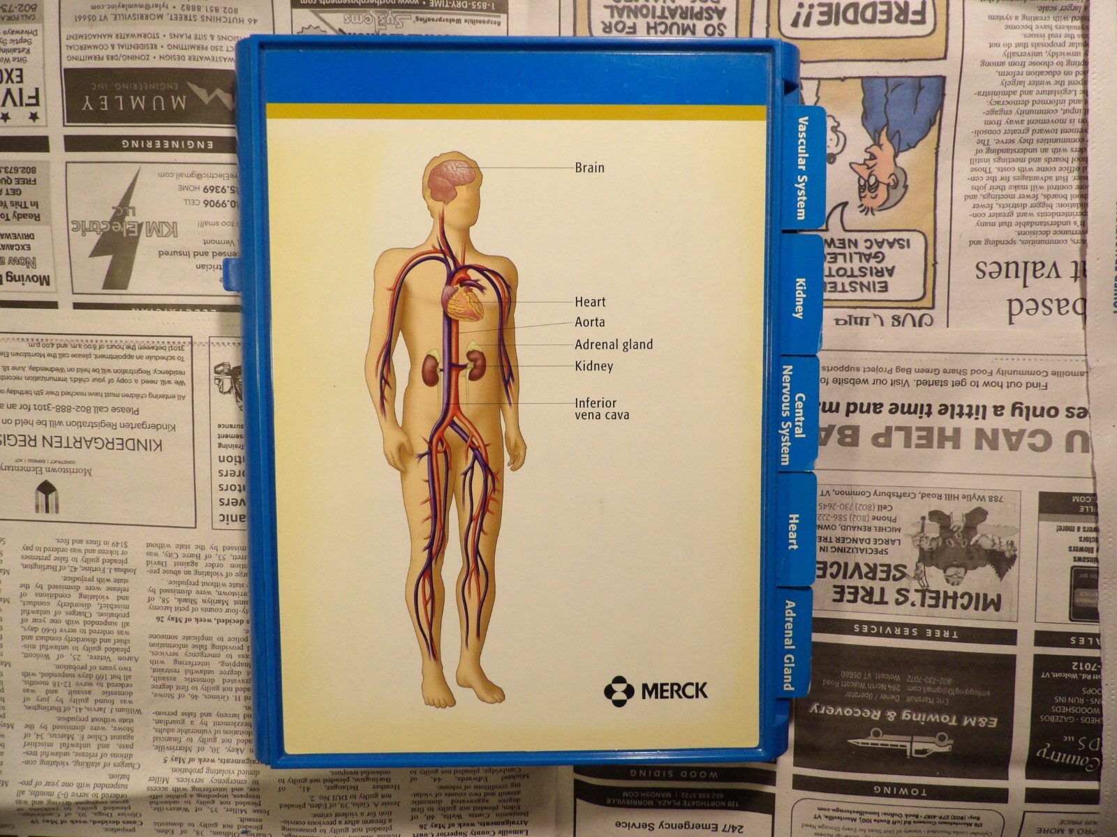 2004 Merck Cozaar Display
