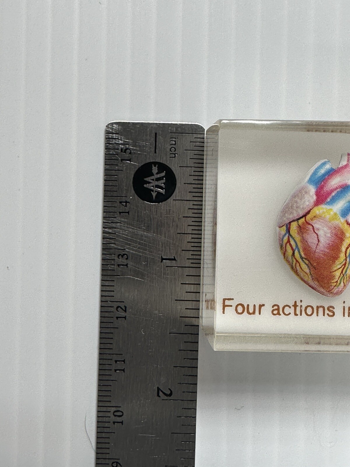 VTG CIBA PHARMACEUTICAL PHYSICIAN PAPERWEIGHT BODY ORGANS SER-AP-ES ADVERTISING