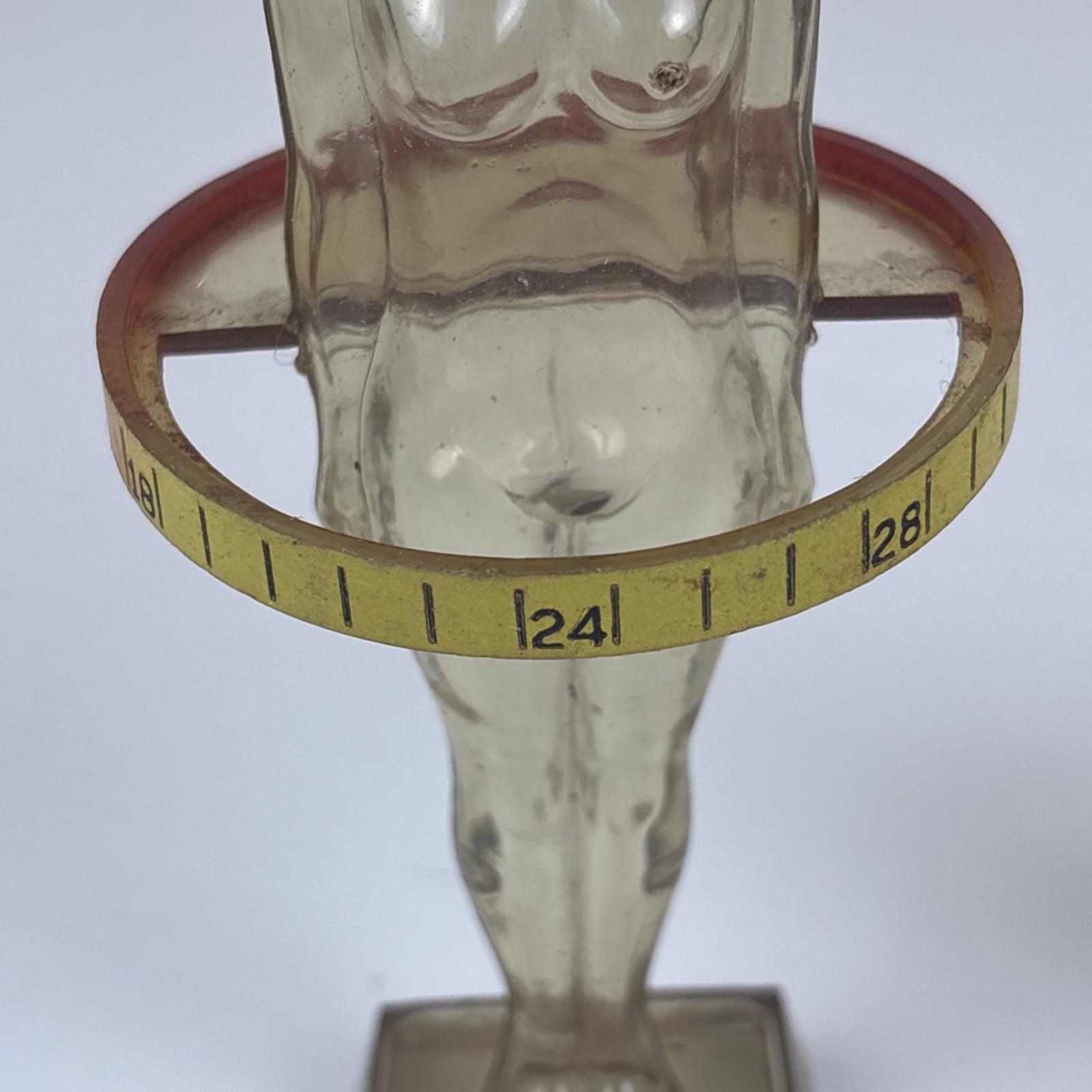 Vintage Diuril Hydro Male Medical Anatomy, 6.5″ Female Waist Measurement Rep