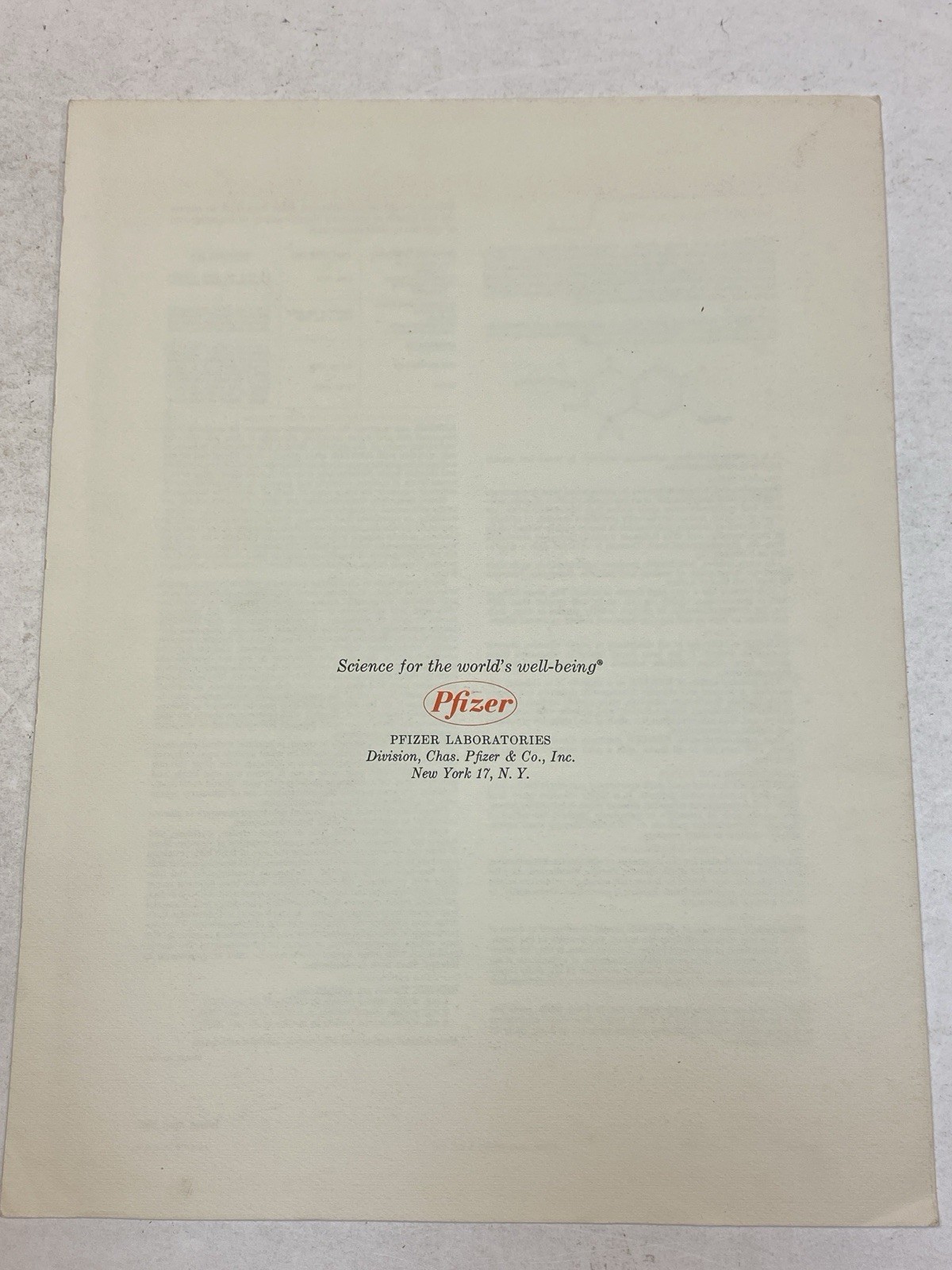 Renese Drug Pfizer Pharmaceutical Advertising Art Brochure 1962 Gypsy Modigliani