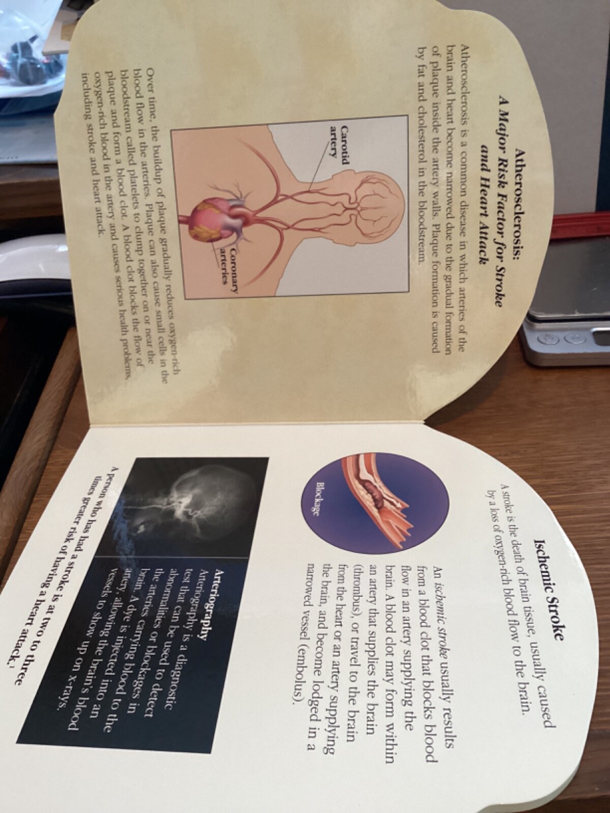 PLAVIX STROKE A LEARNING AND RESOURCE GUIDE CARDBOARD BOOK DRUG REP PROMO