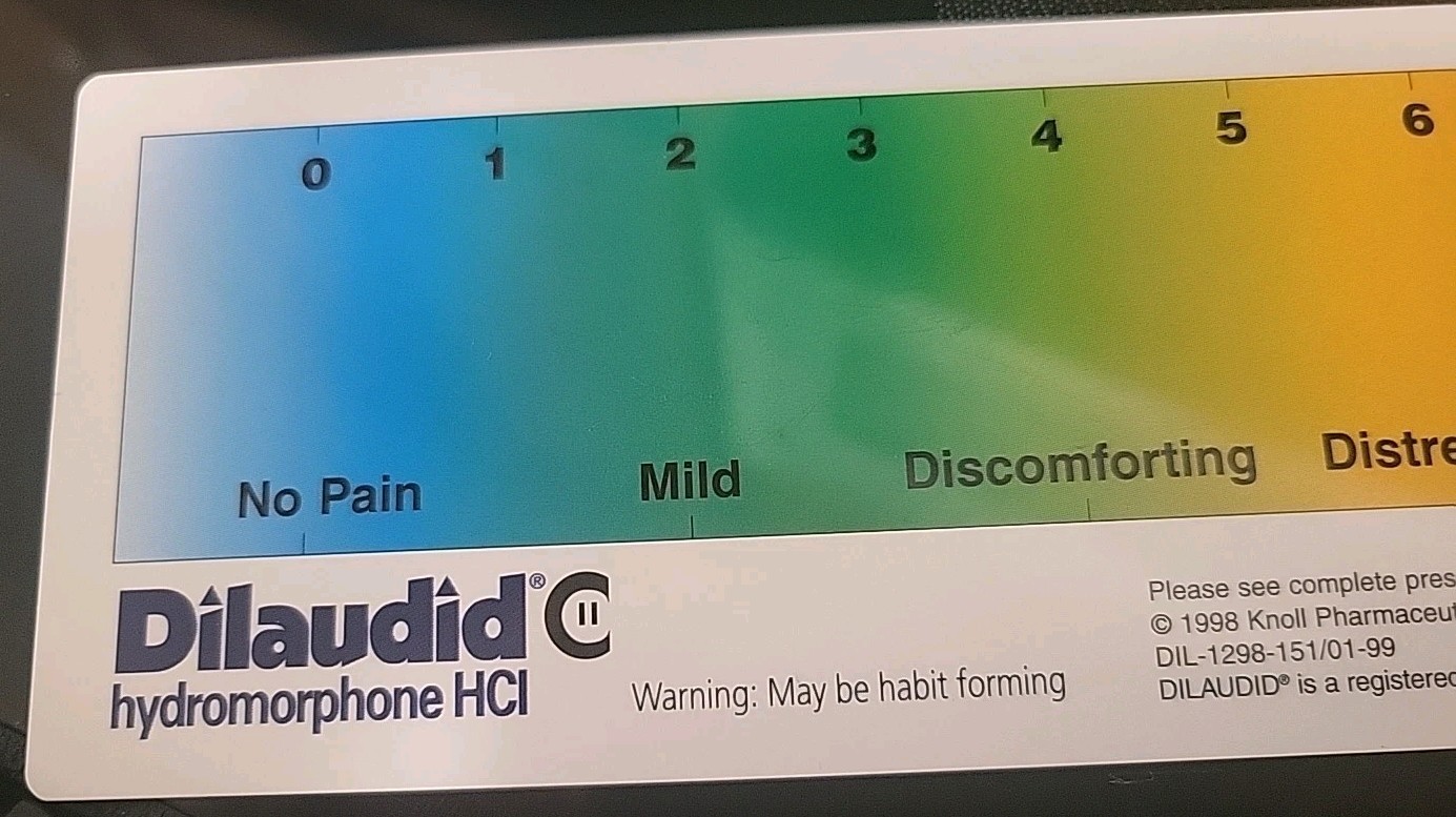 DILAUDID HYDROMORPHONE PAIN SCALE RULER Plastic -Pharmaceutical Rare Promo