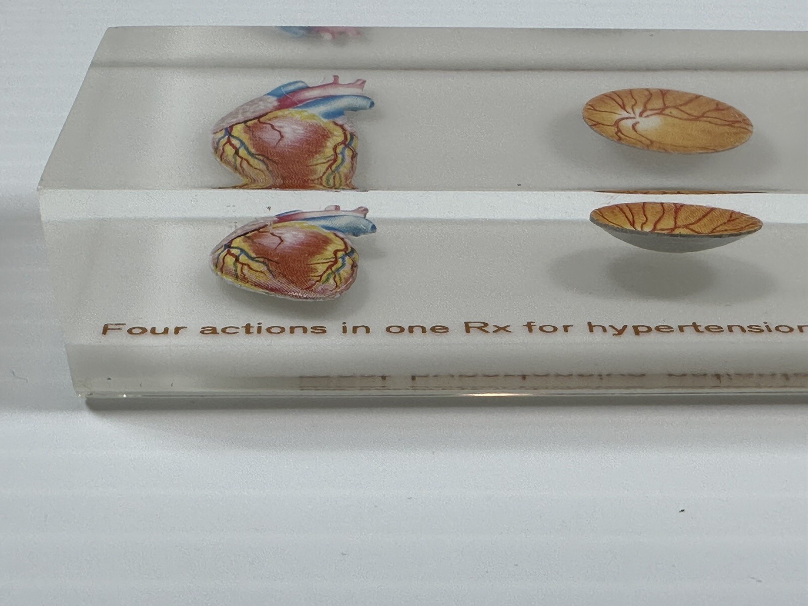 VTG CIBA PHARMACEUTICAL PHYSICIAN PAPERWEIGHT BODY ORGANS SER-AP-ES ADVERTISING