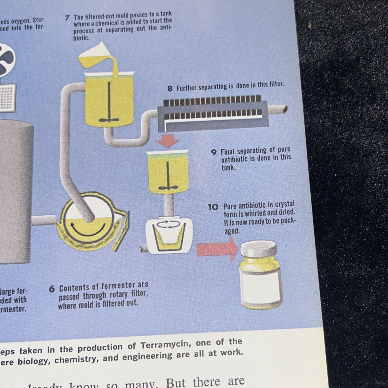 Weimer Purcell Antibiotic Production Illustration 1967 Original Encyclopedia