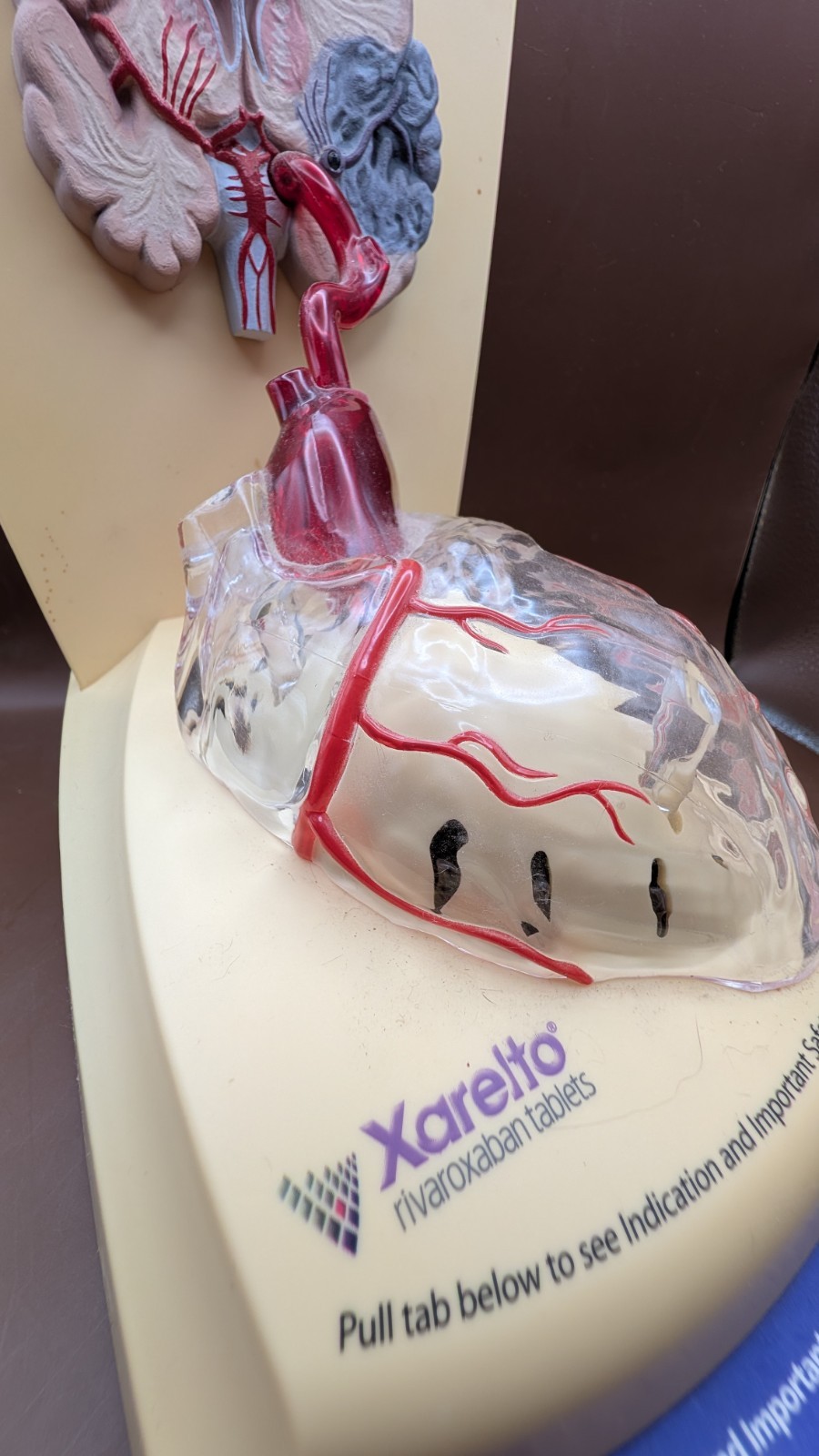 Xarelto Doc. heart display light up sound medical heart beat Pull tab info cards