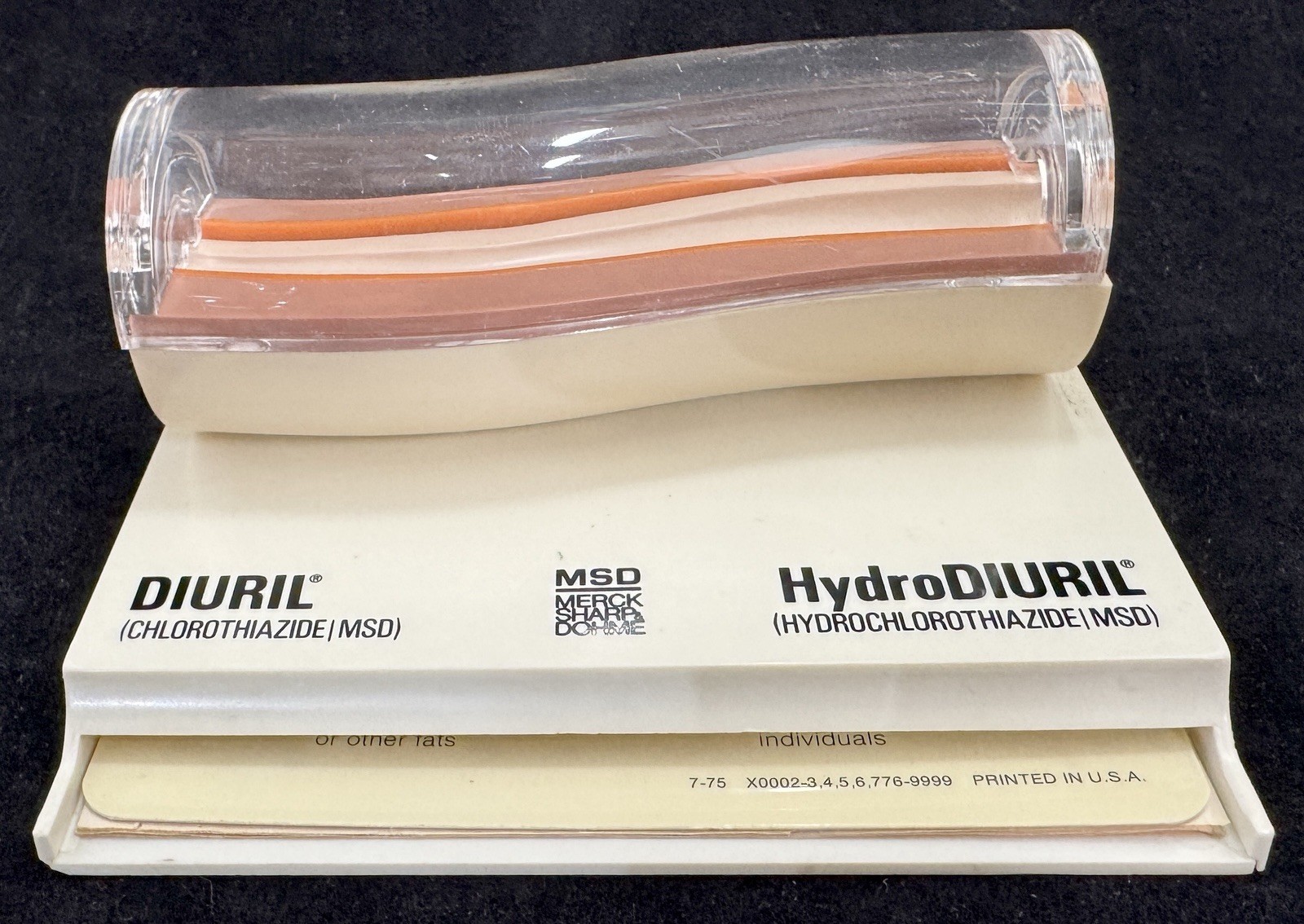Merck MSD Diuril Advertising 3D Model Vein Artery 1976 Anatomical Sales Sample