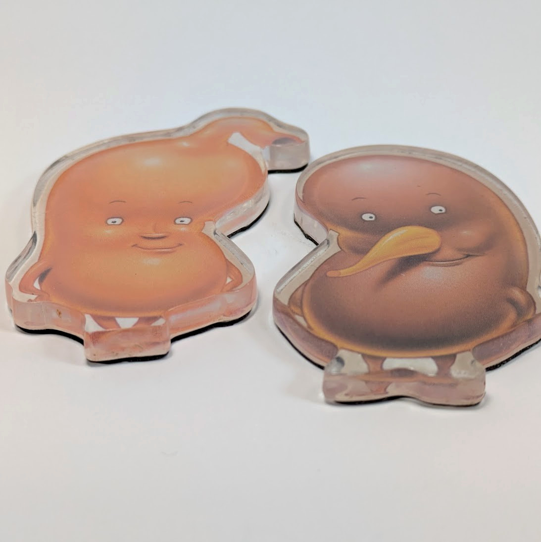Pharmaceutical Drug Rep Advertising Magnet (2) Actos Stomach Liver Organs