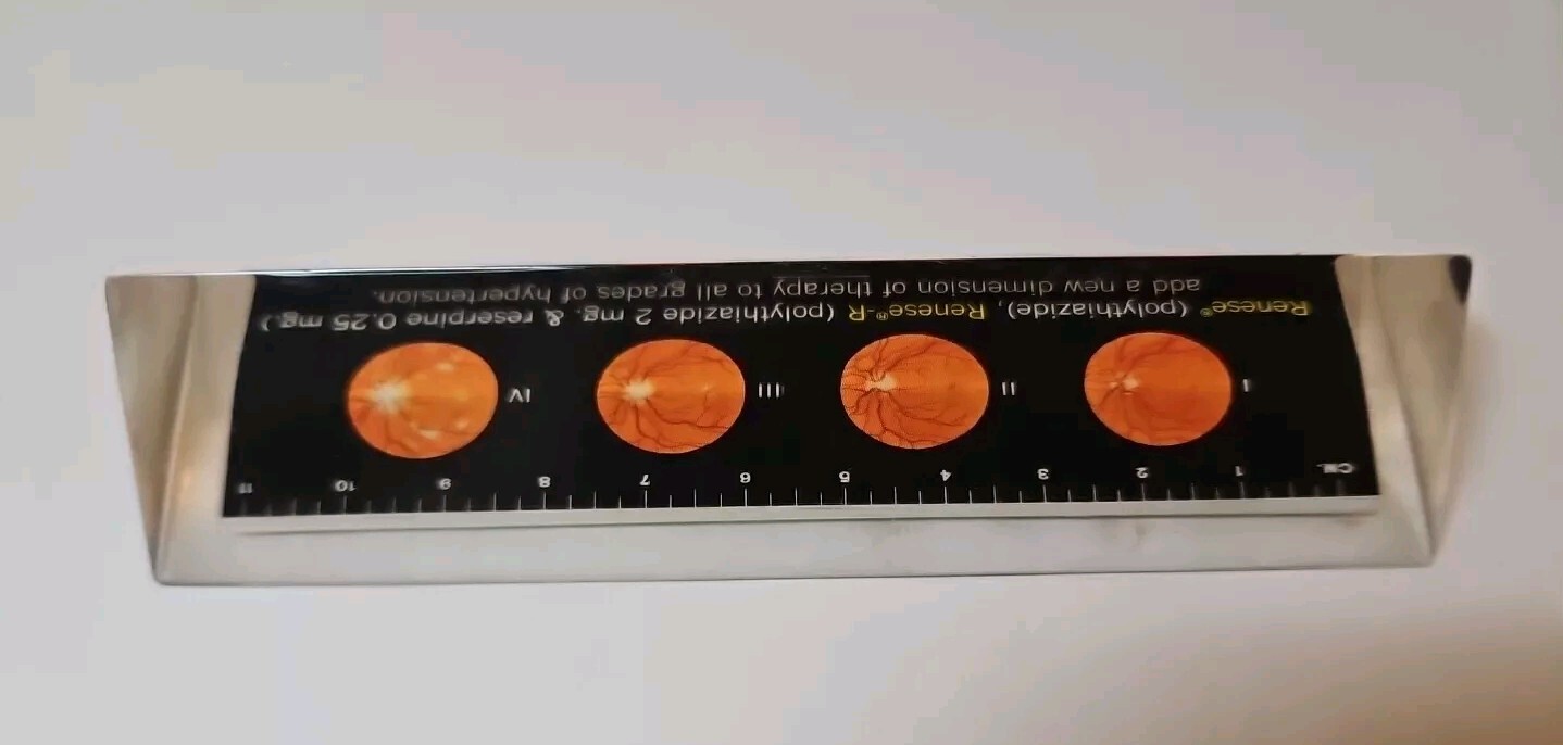 RENESE Pfizer Pharmaceutical Promo Vintage 1964 LUCITE Advertising Ruler