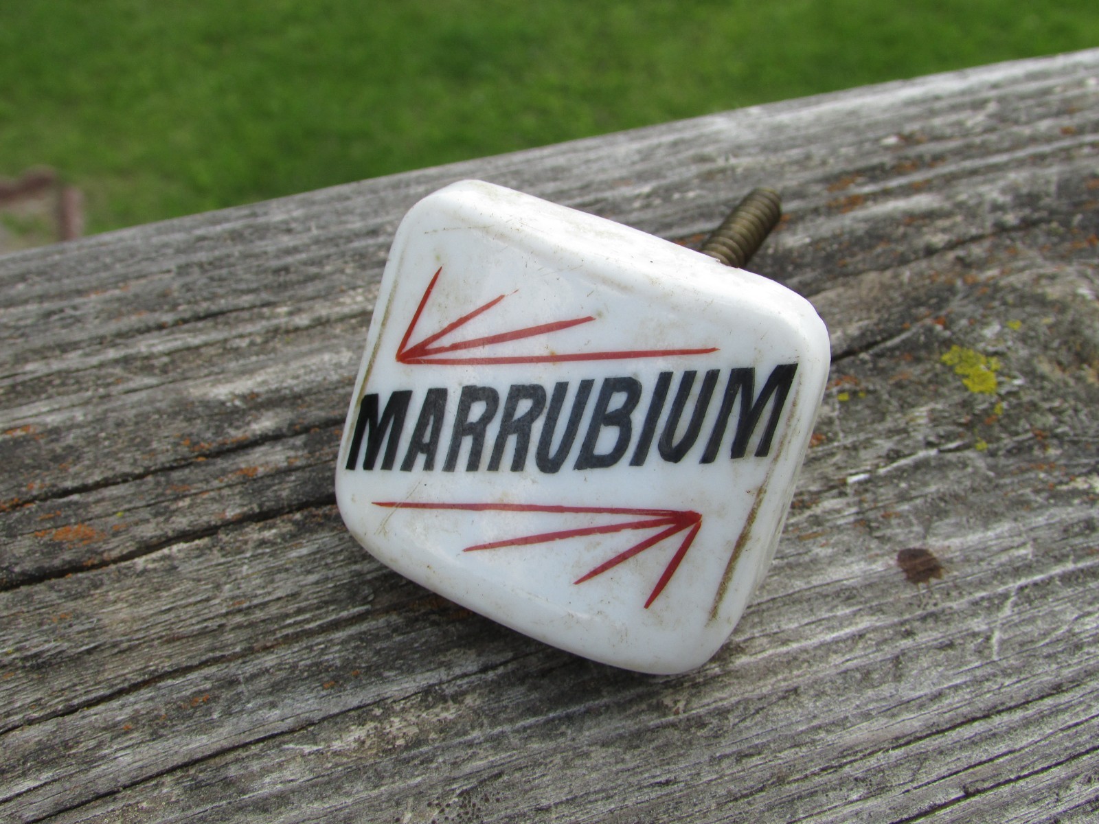 Unusual 1900s MARRUBIUM (Horehound) Porcelain APOTHECARY Cabinet Drawer KNOB A++