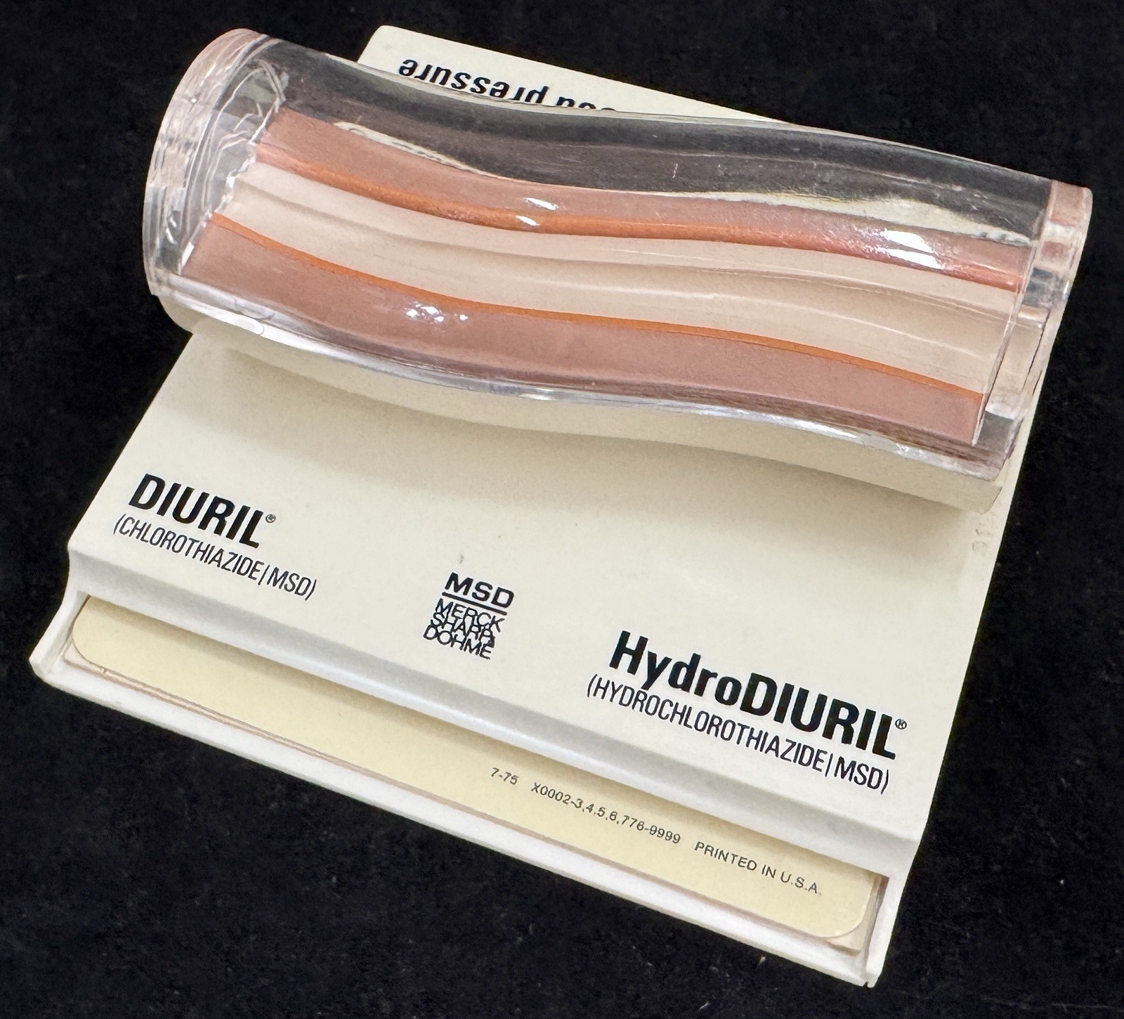Merck MSD Diuril Advertising 3D Model Vein Artery 1976 Anatomical Sales Sample