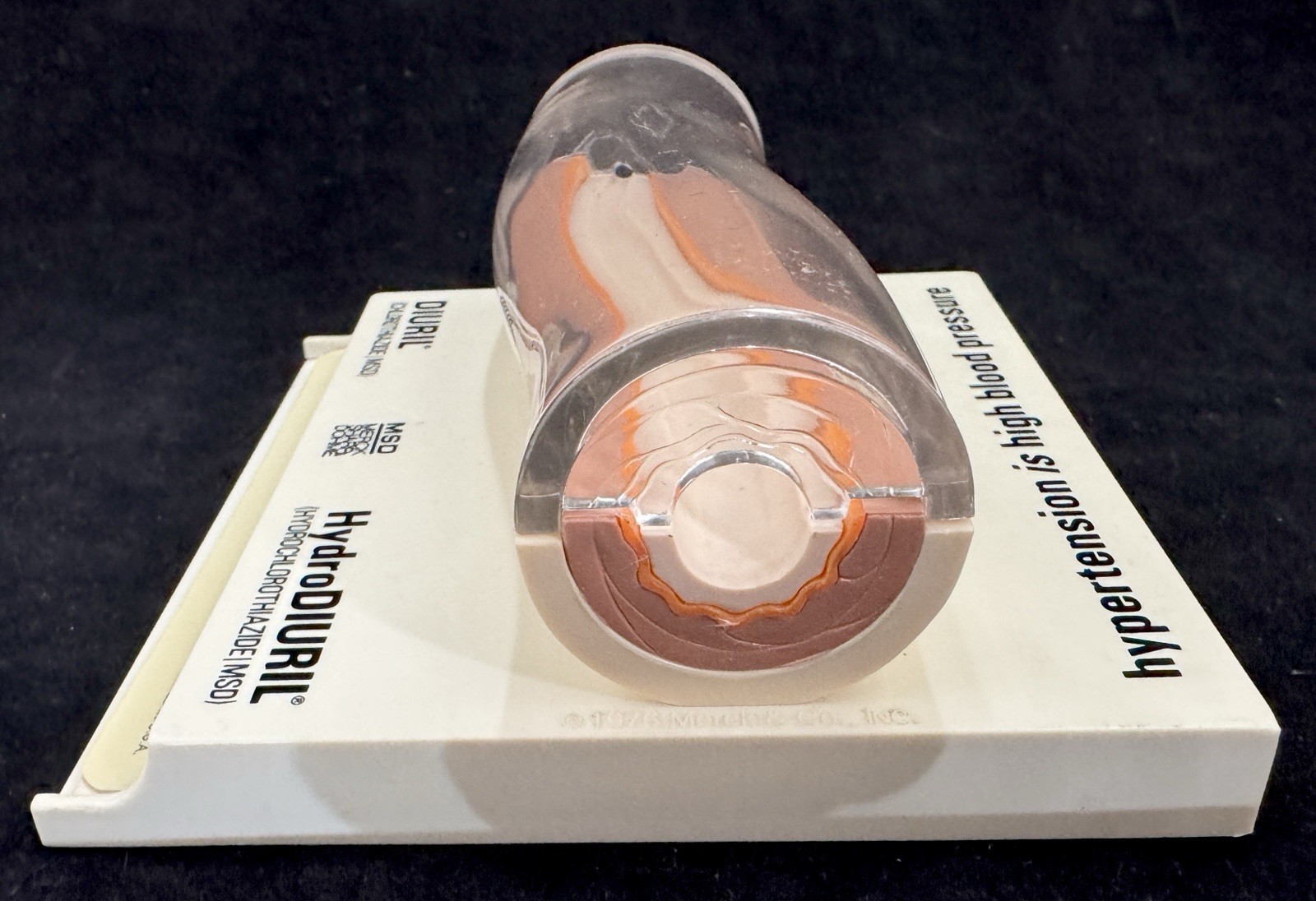 Merck MSD Diuril Advertising 3D Model Vein Artery 1976 Anatomical Sales Sample