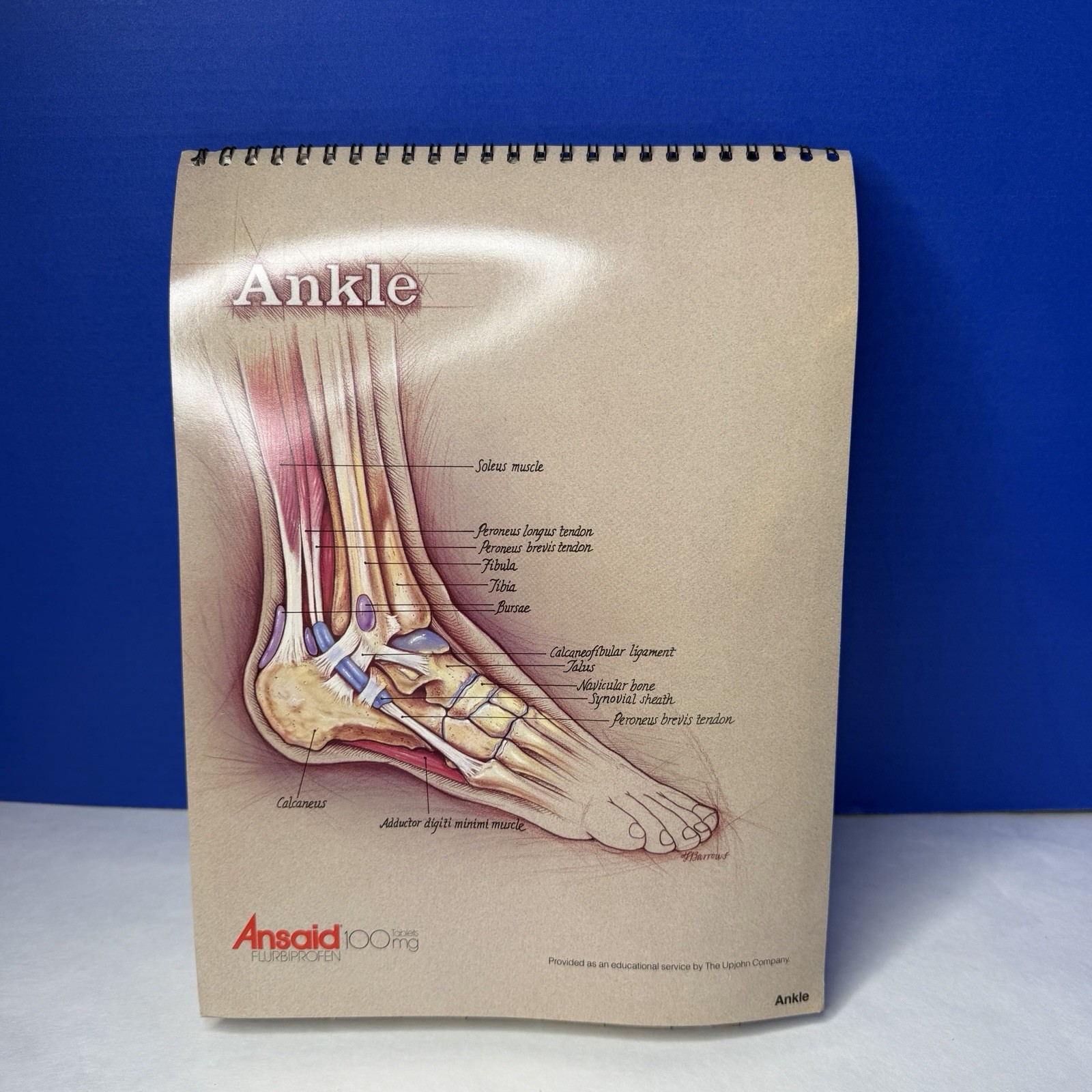 Ansaid Pain Medicine Anatomical Charts Drug Rep Ad Promo Pharma Marketing 1980s