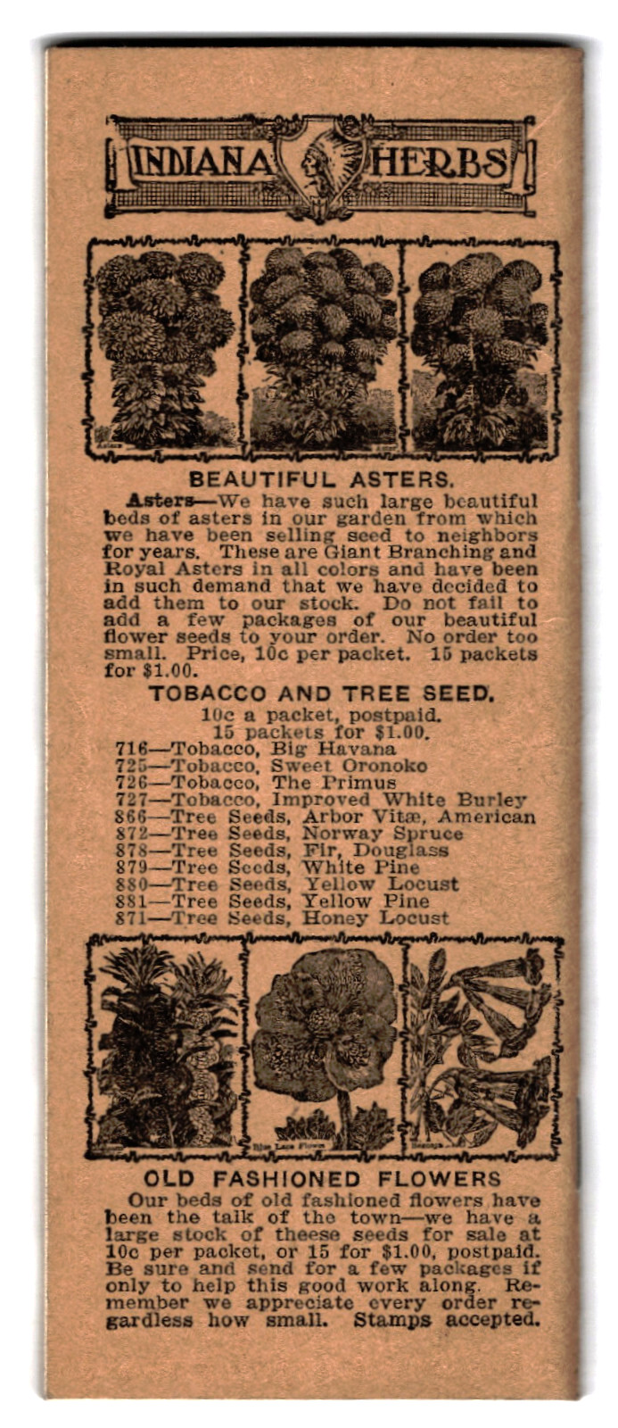 Indiana Herbs: The Herb Doctor and Medicine Man Botanical Medicines, 1935, illus