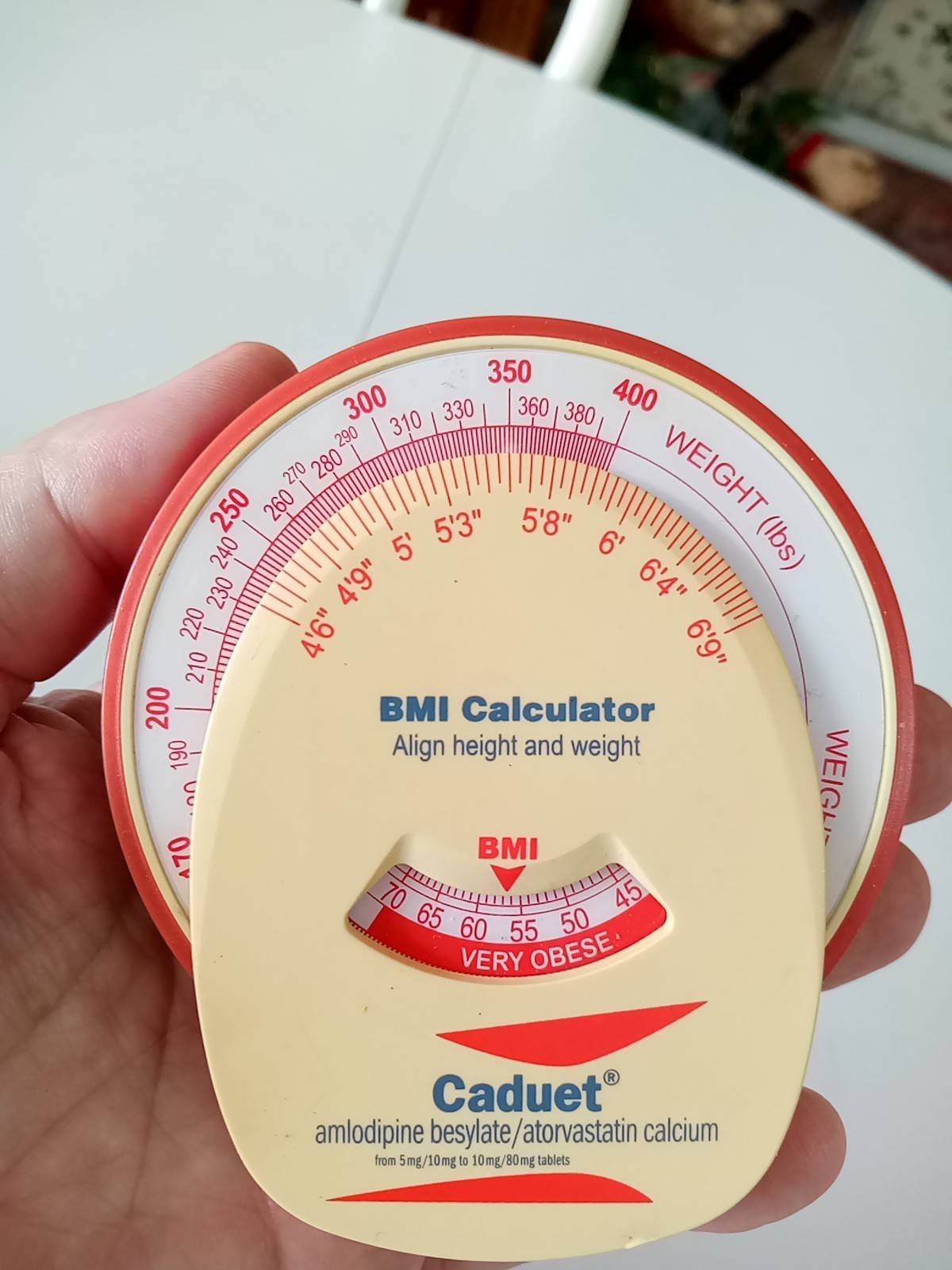 Vintage BMI Calculator/Refrigerator Magnet