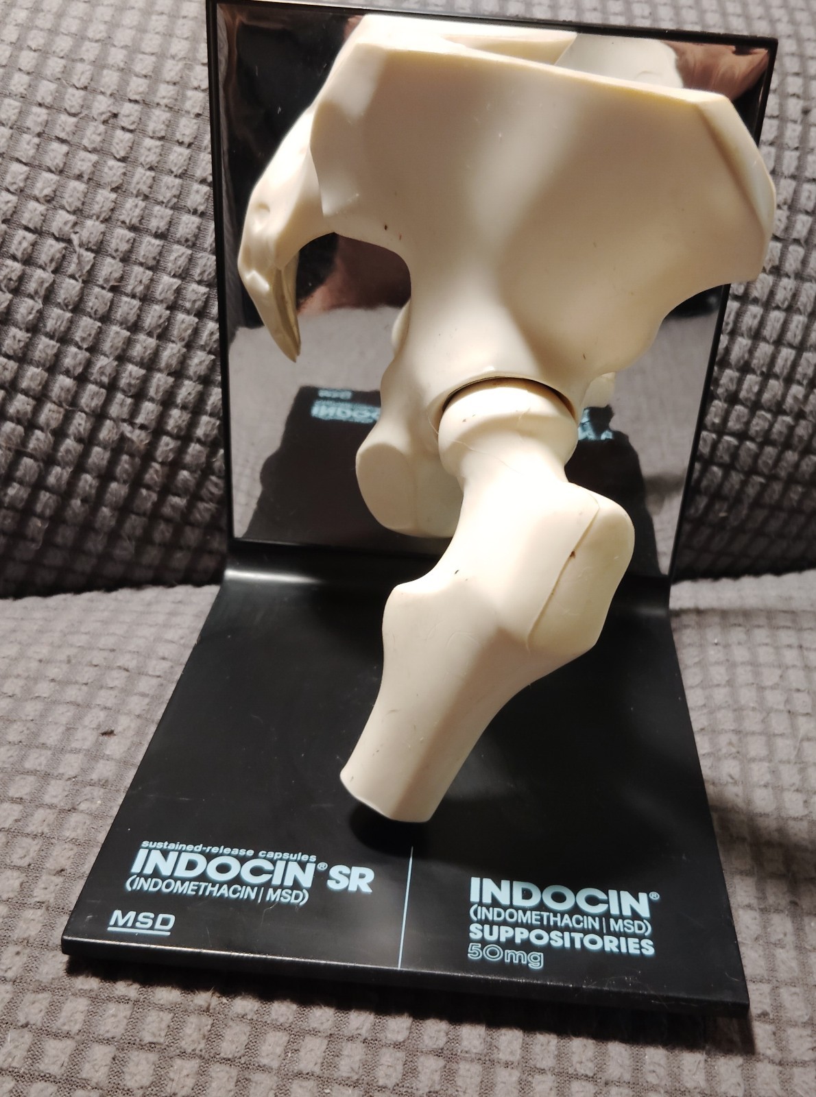Hip Joint Model Advertising Indocin SR, Pharmaceutical Company Hand Out Doctors